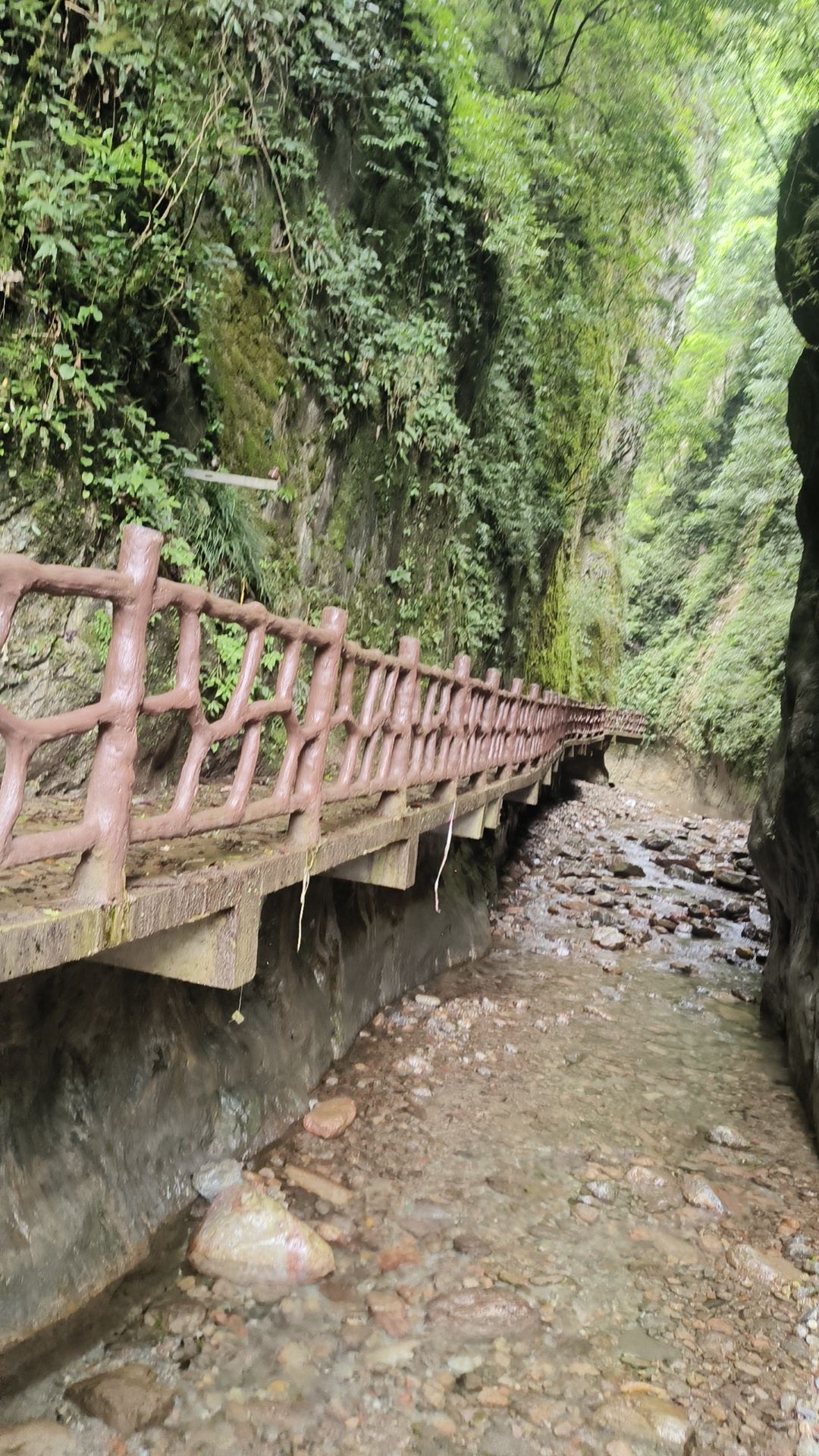 城口县九重山国家森林公园旅行图片 3
