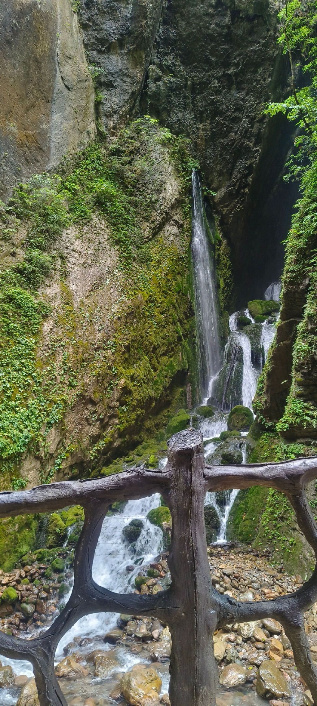 城口县九重山国家森林公园旅行图片 1