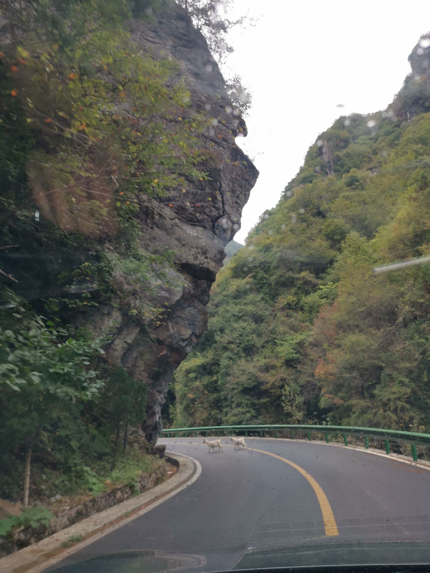 城口县九重山国家森林公园旅行图片 2