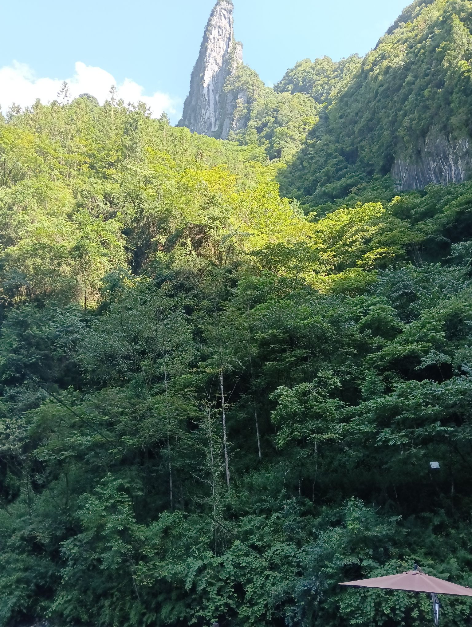 城口县九重山国家森林公园旅行图片 2