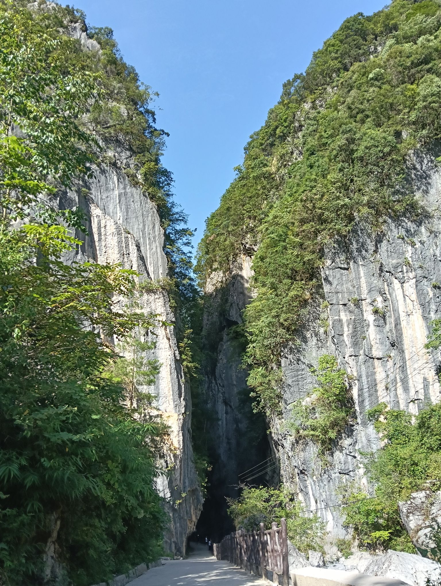 城口县九重山国家森林公园旅行图片 1