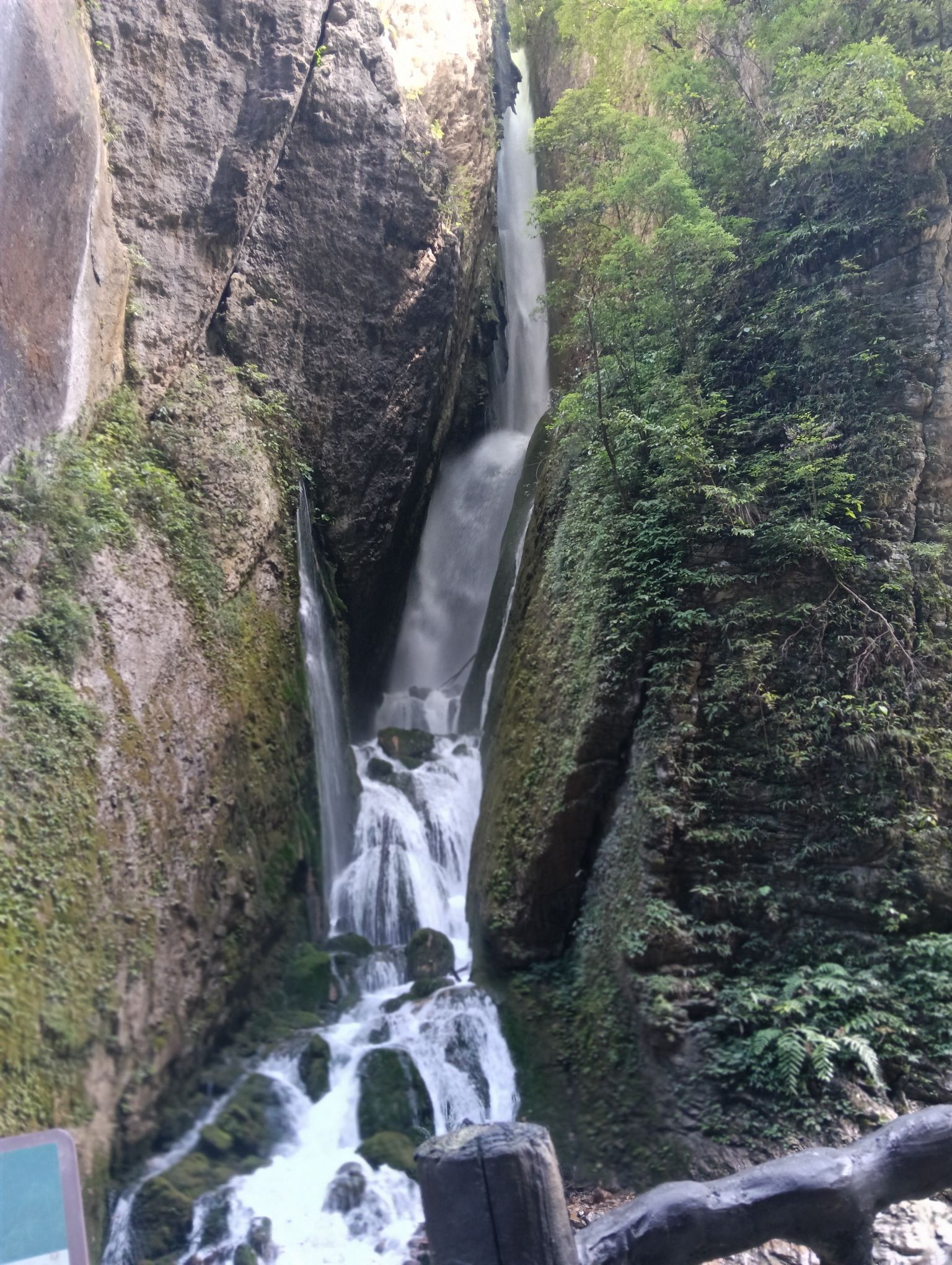城口县九重山国家森林公园旅行图片 3