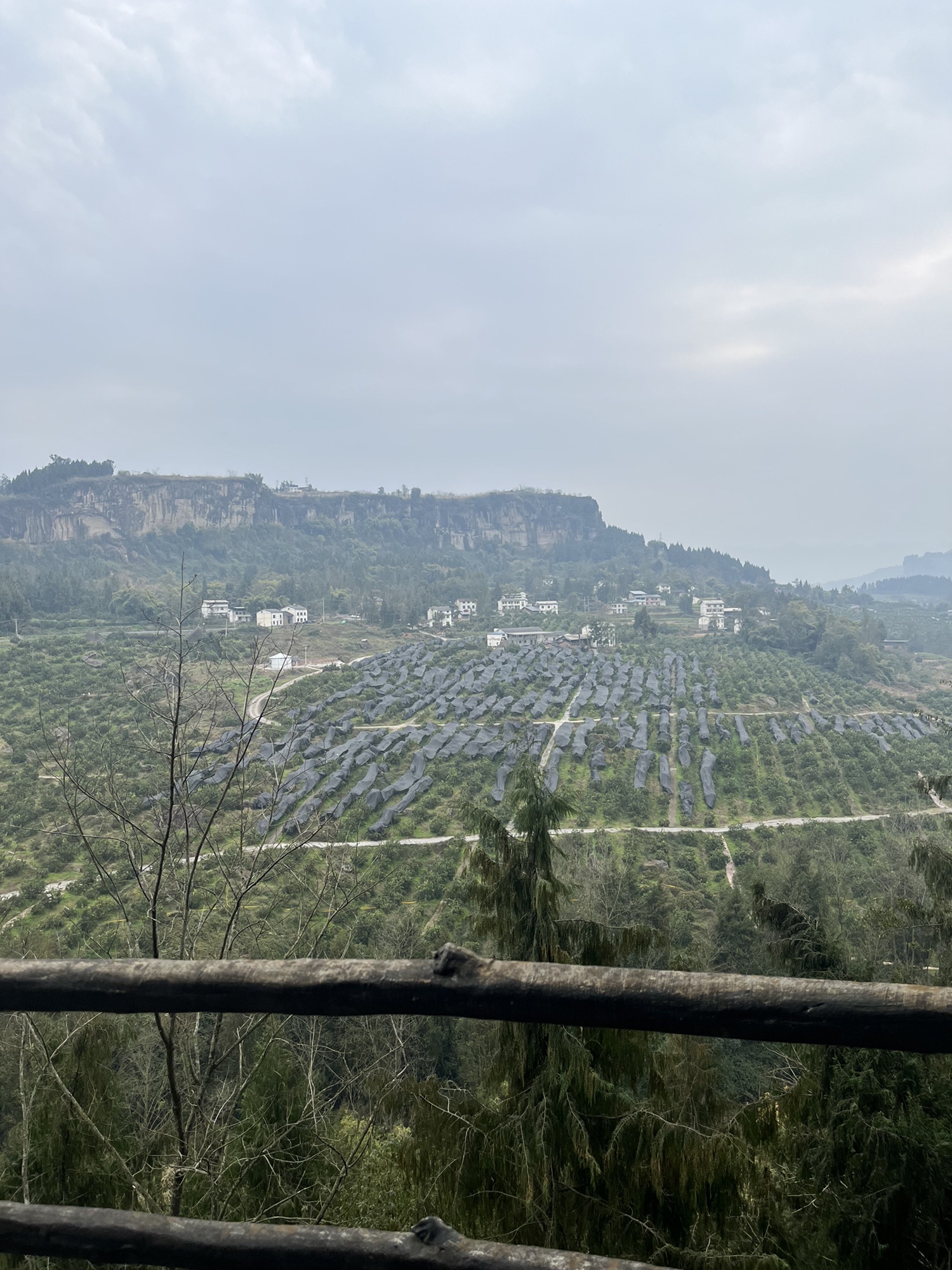 万州大瀑布群景区旅行图片 2