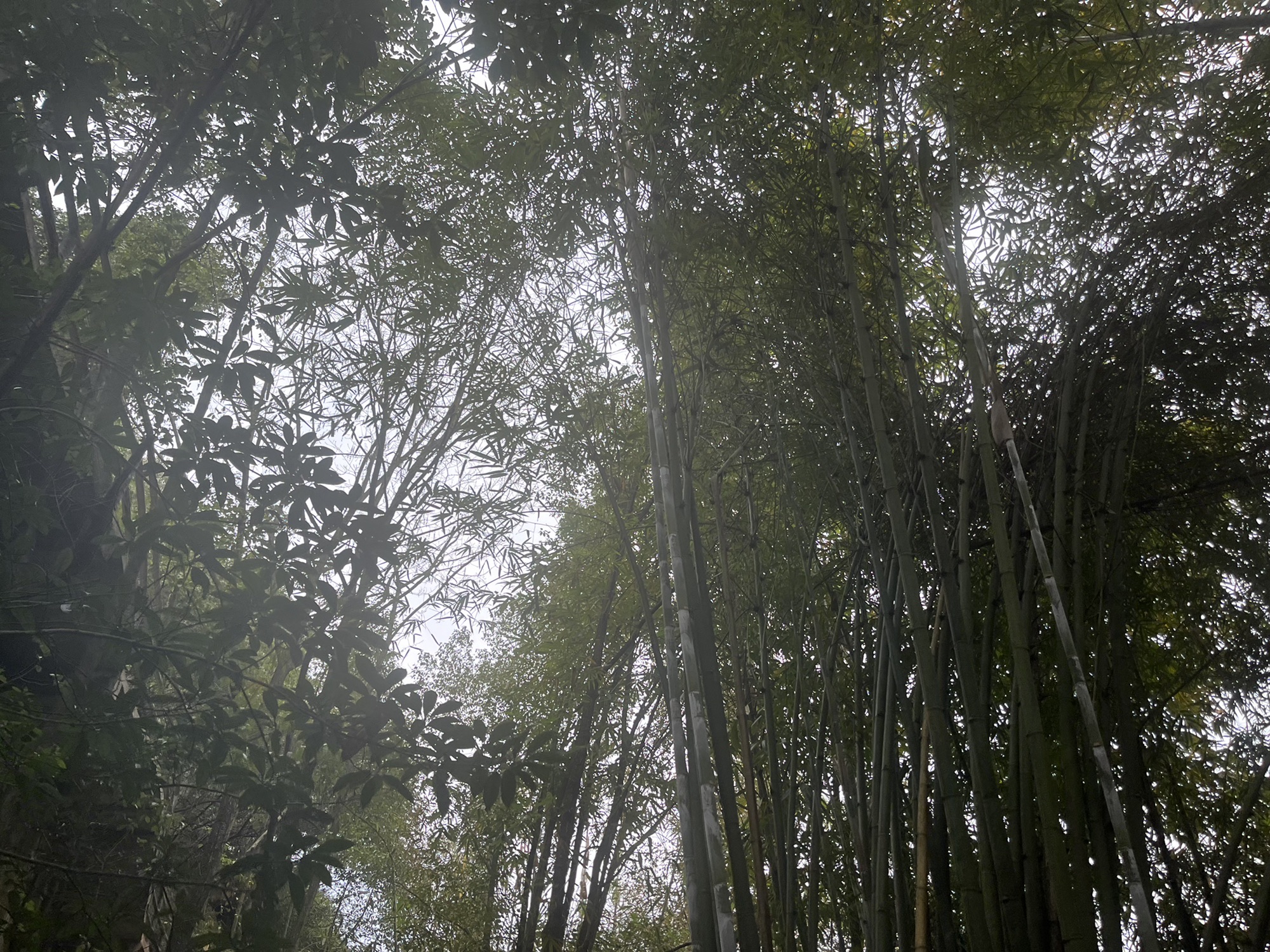 万州大瀑布群景区旅行图片 3