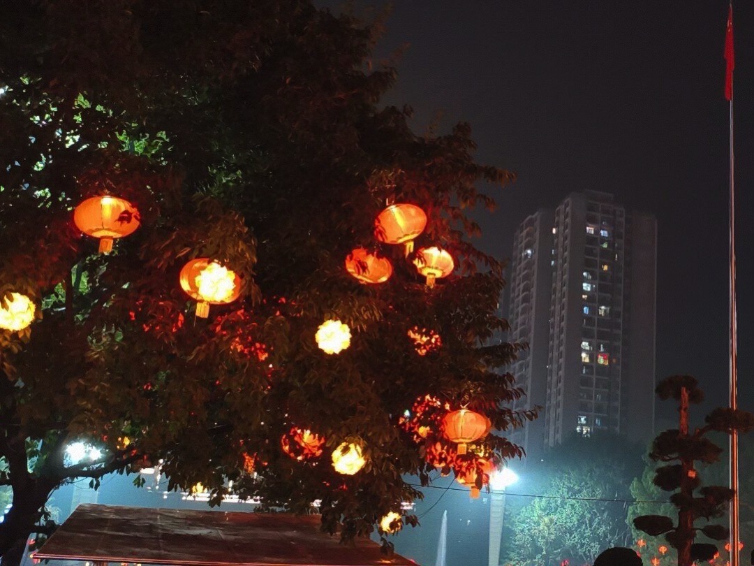 子如广场旅行图片 2