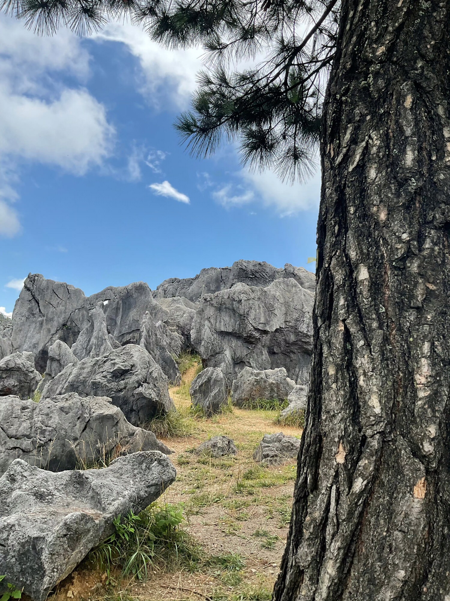 千野草场旅行图片 3