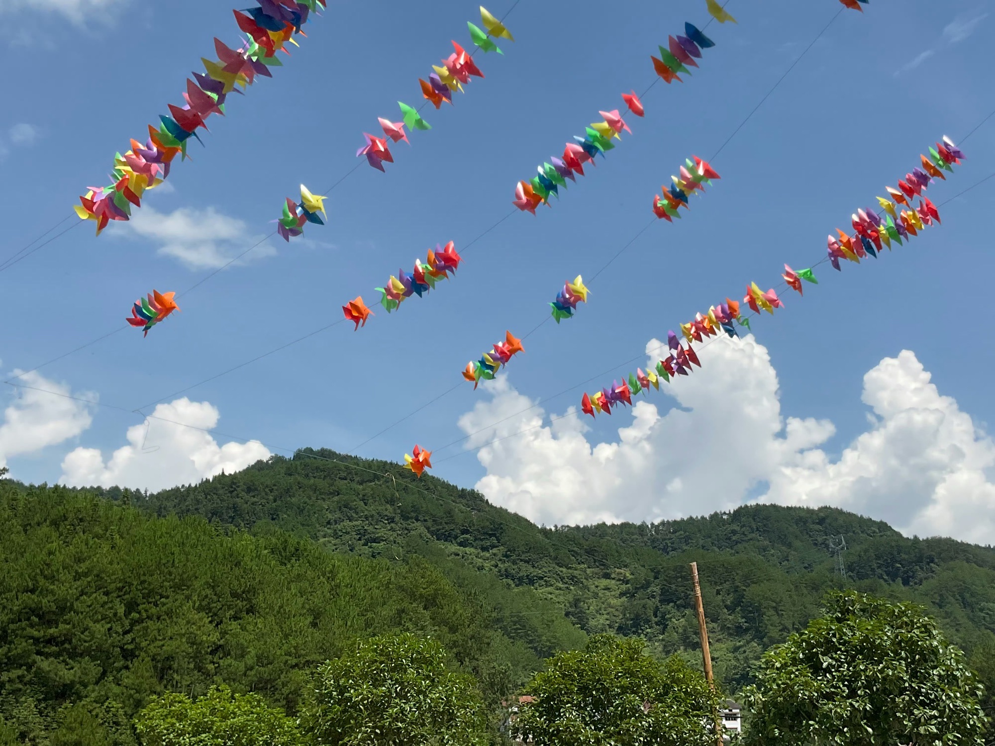 千野草场旅行图片 2