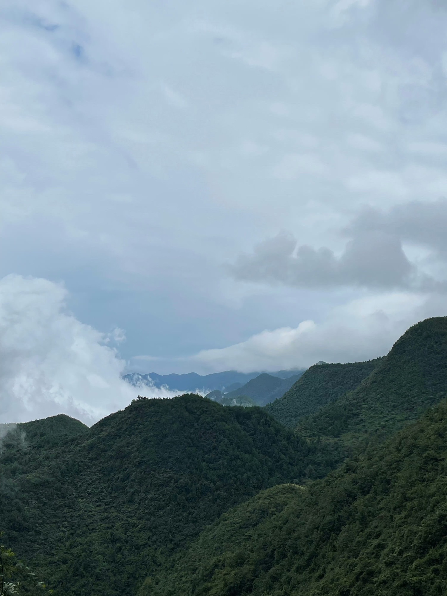 千野草场旅行图片 3