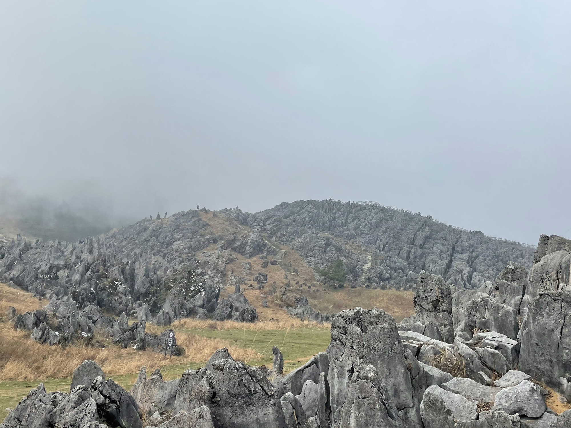 千野草场旅行图片 1