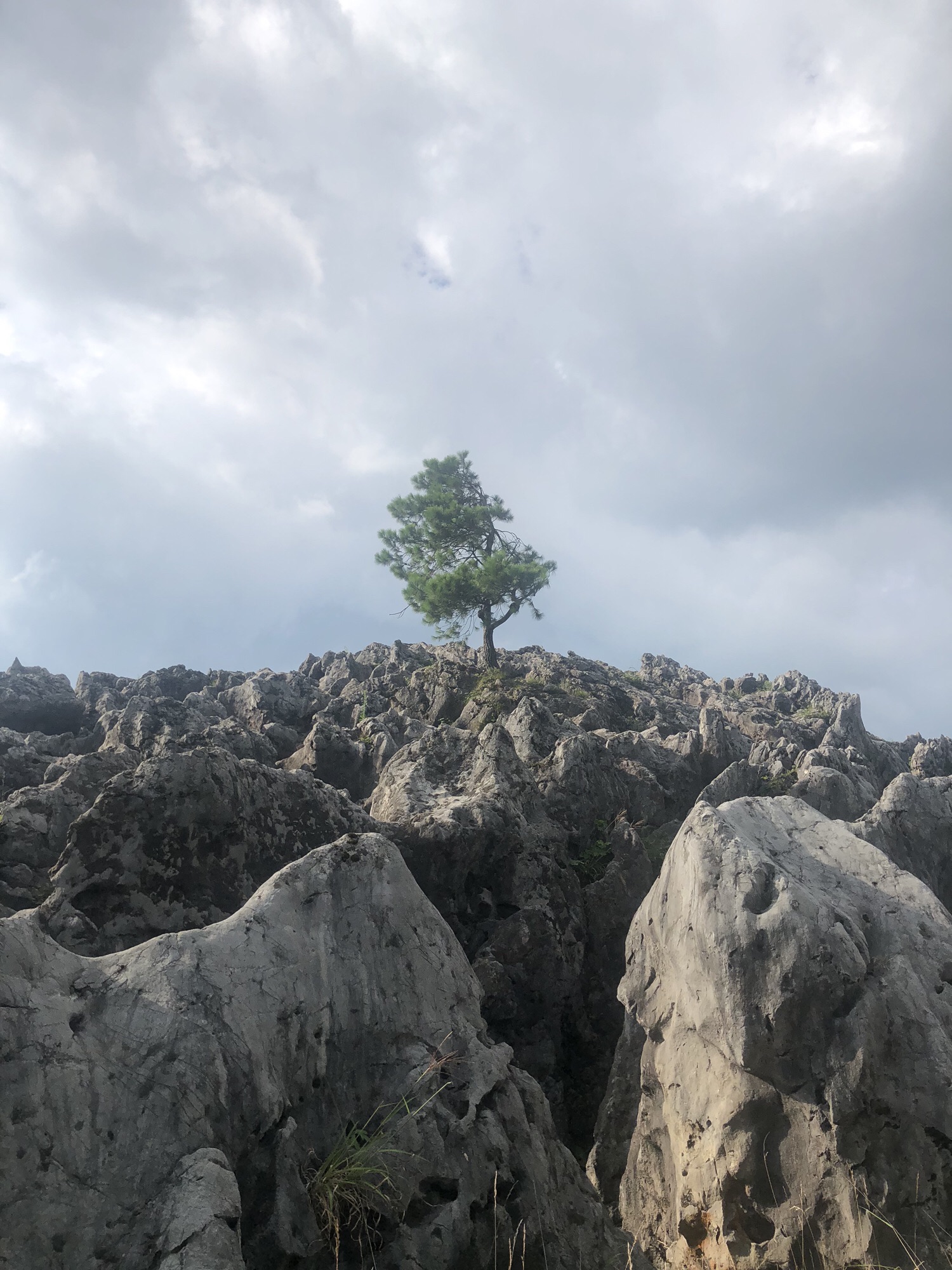 千野草场旅行图片 2