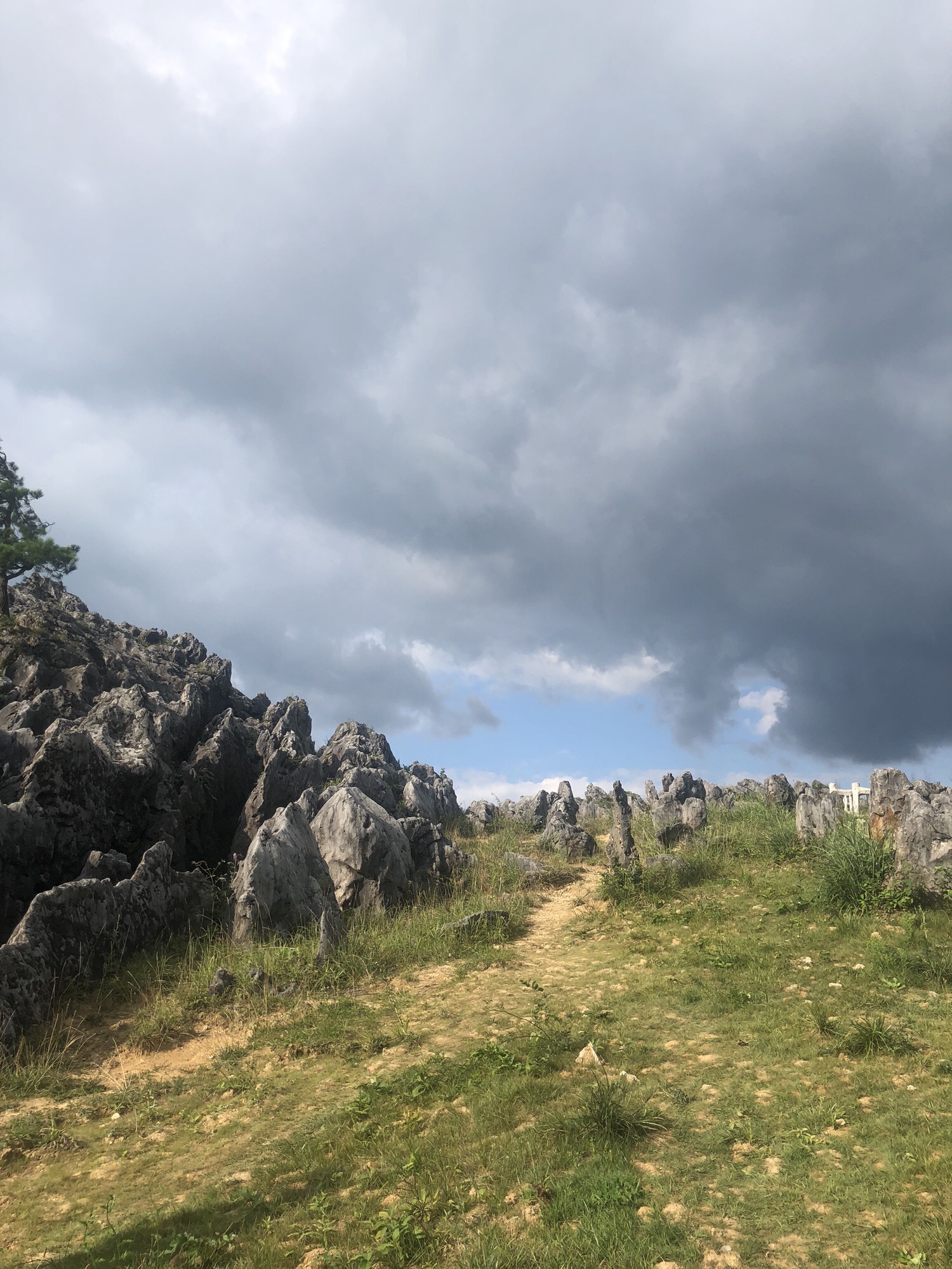 千野草场旅行图片 3