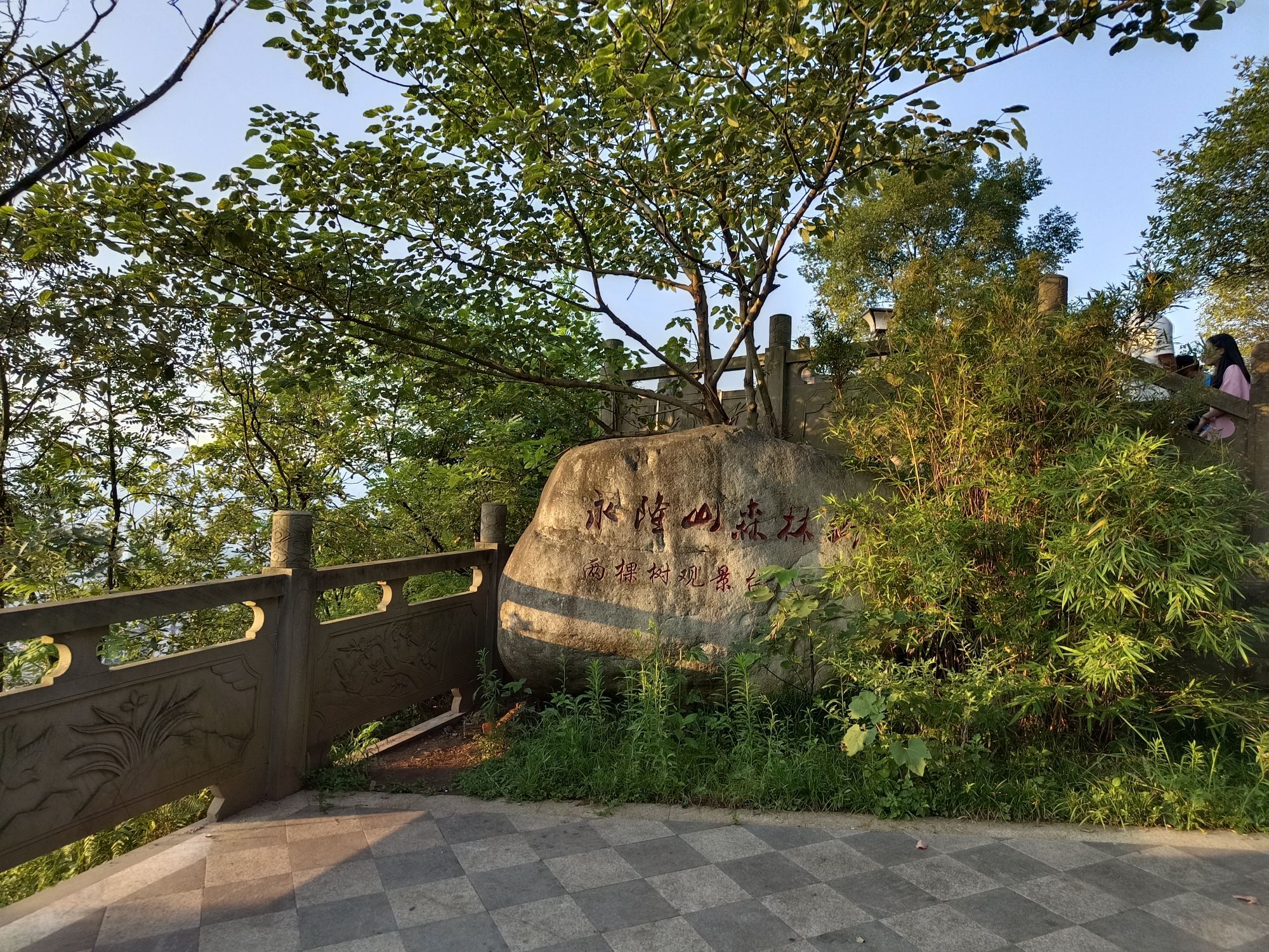 永隆山森林公园旅行图片 1