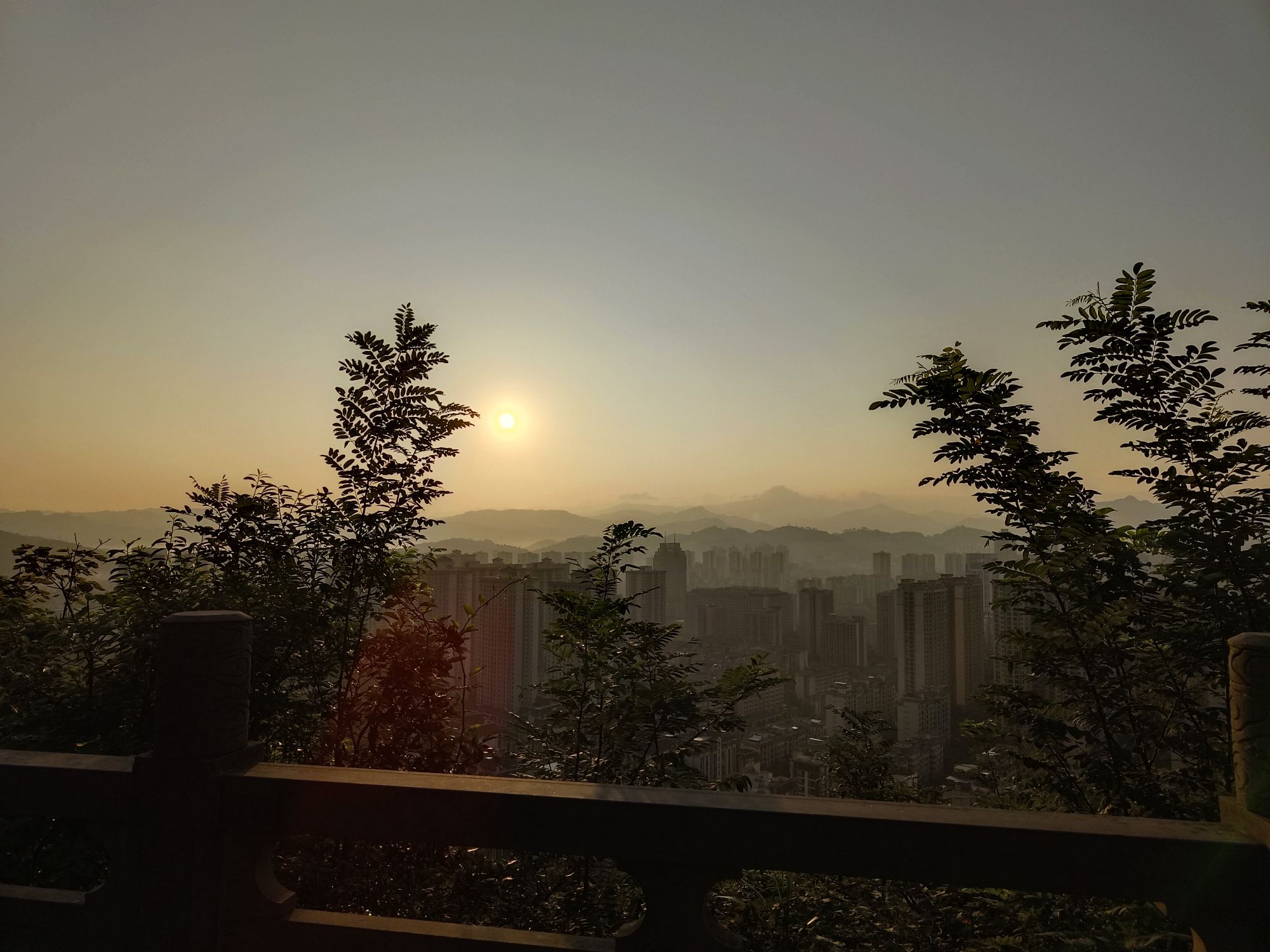 永隆山森林公园旅行图片 3