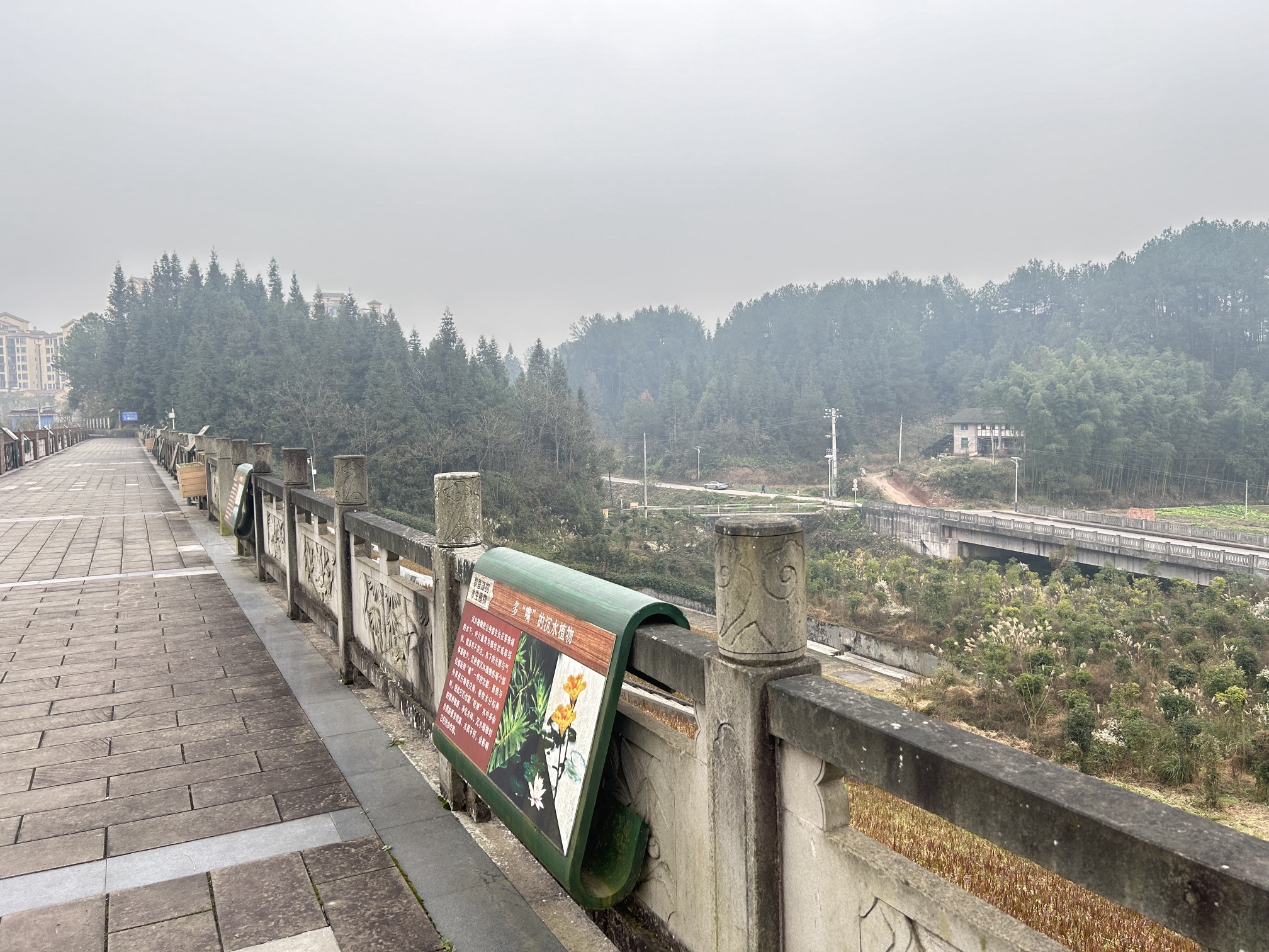 黎香湖湿地生态园旅行图片 2