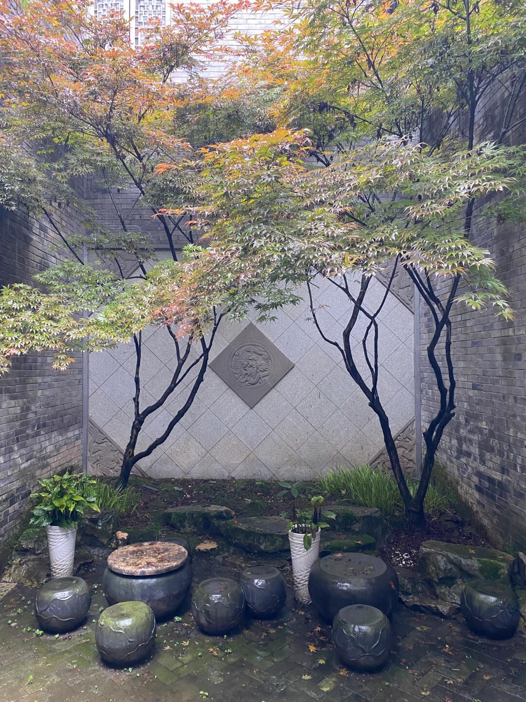 黎香湖湿地生态园旅行图片 2