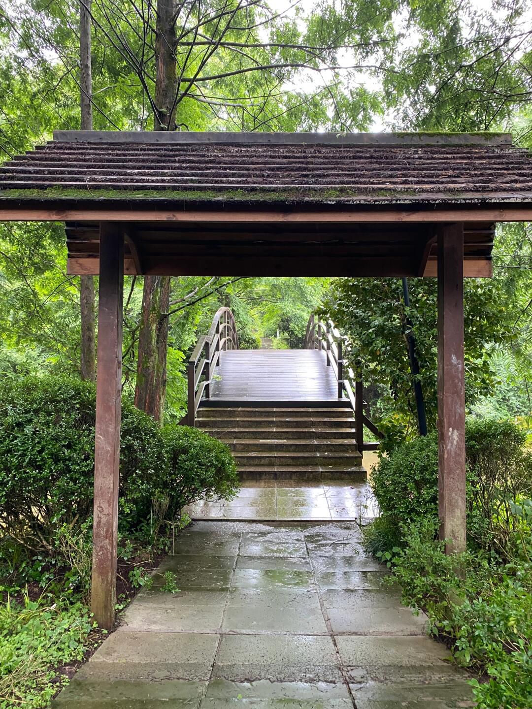 黎香湖湿地生态园旅行图片 3