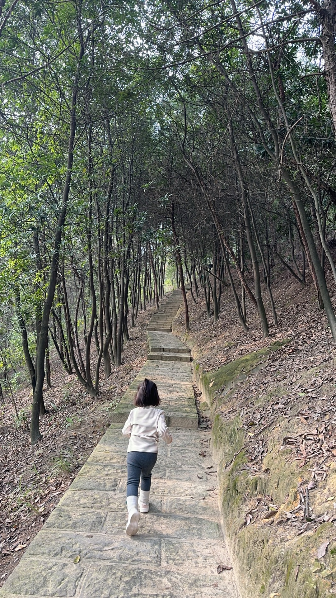 大渡口森林公园旅行图片 2