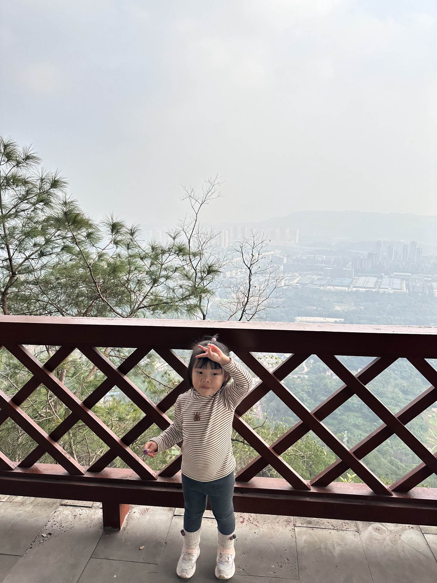 大渡口森林公园旅行图片 3