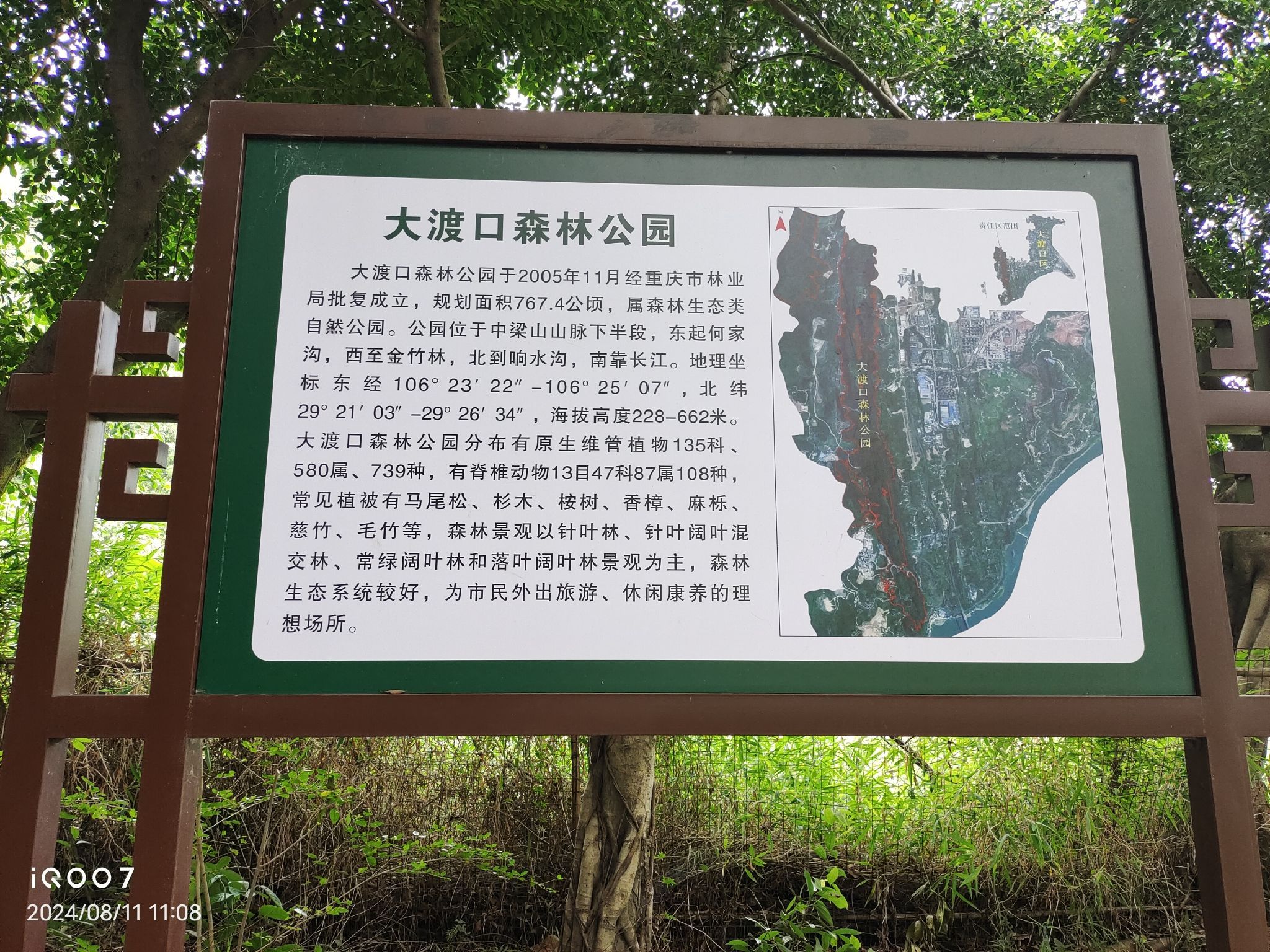 大渡口森林公园旅行图片 3