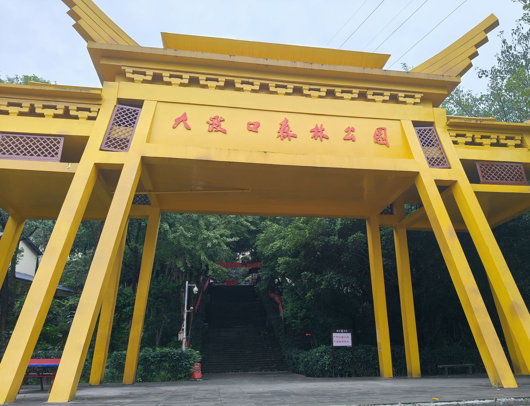 大渡口森林公园旅行图片 1