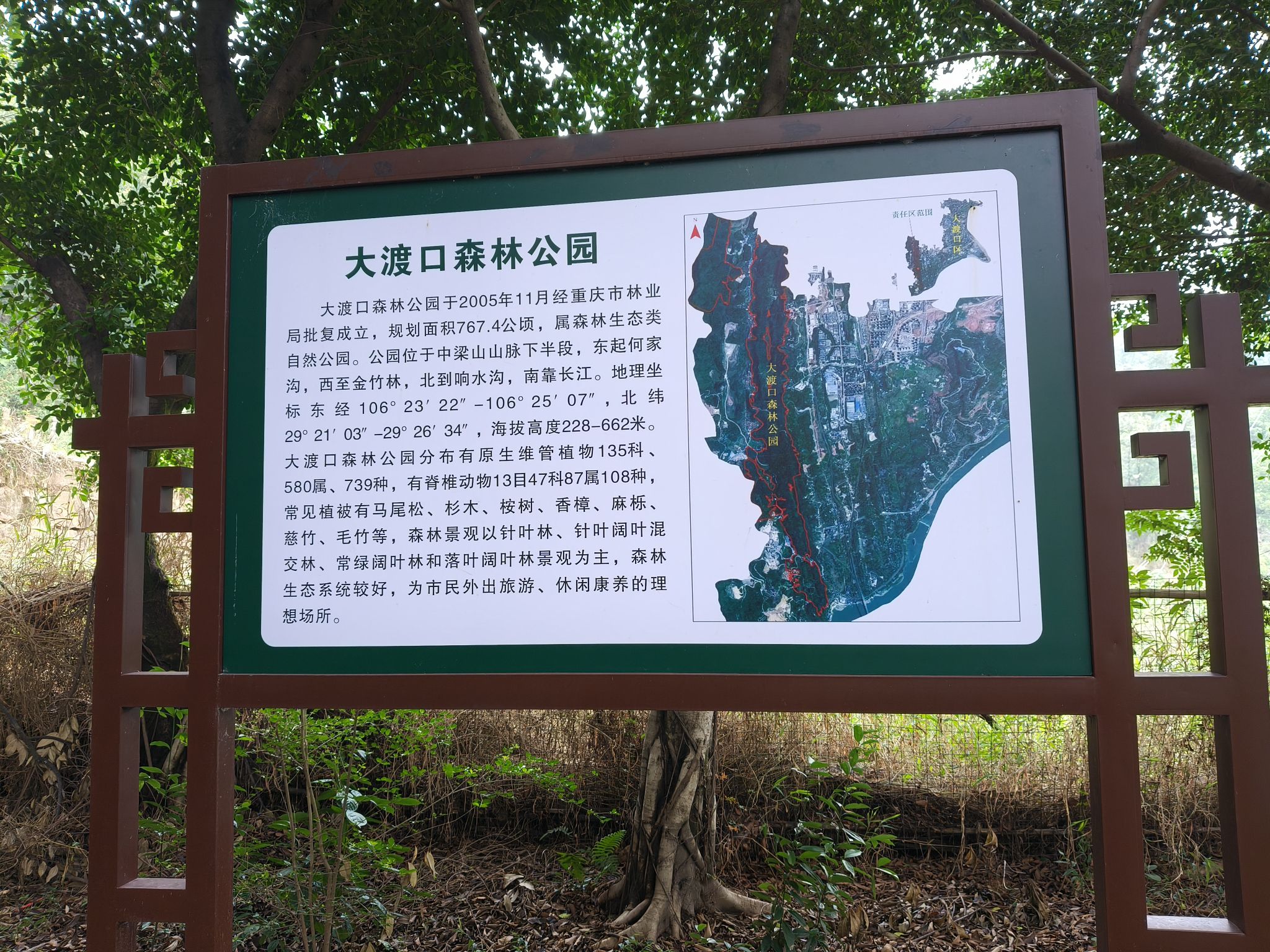 大渡口森林公园旅行图片 2