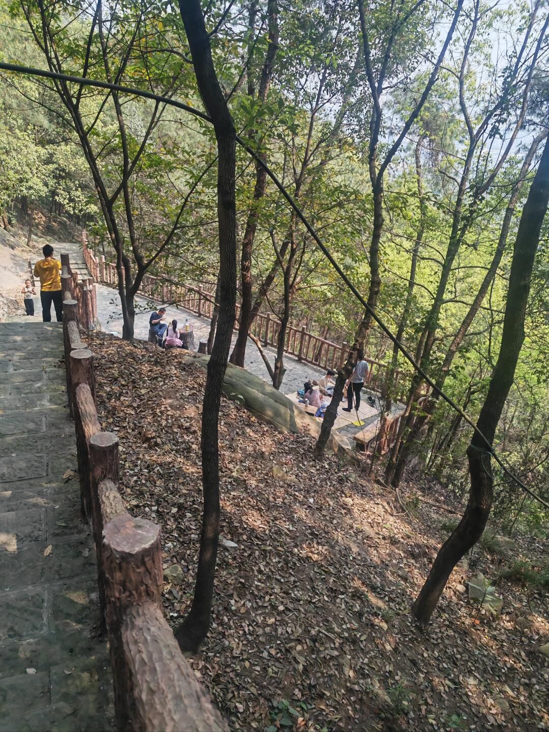 大渡口森林公园旅行图片 2
