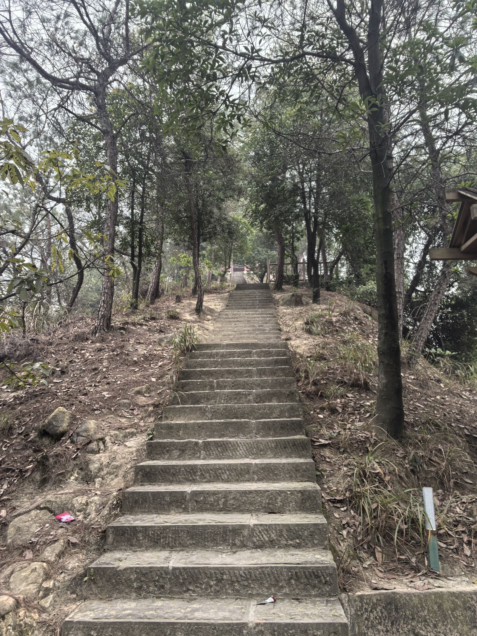 大渡口森林公园旅行图片 2