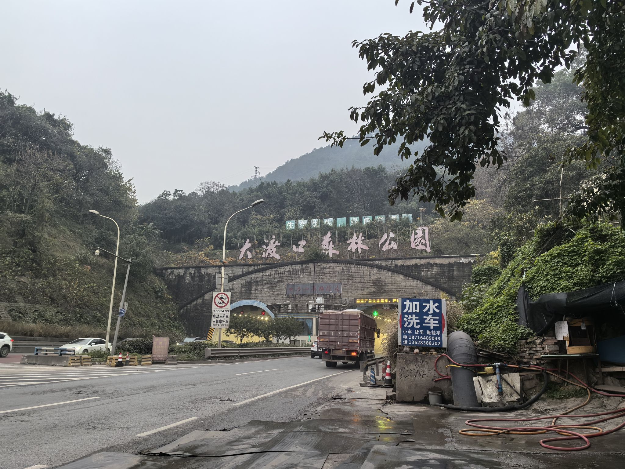 大渡口森林公园旅行图片 1