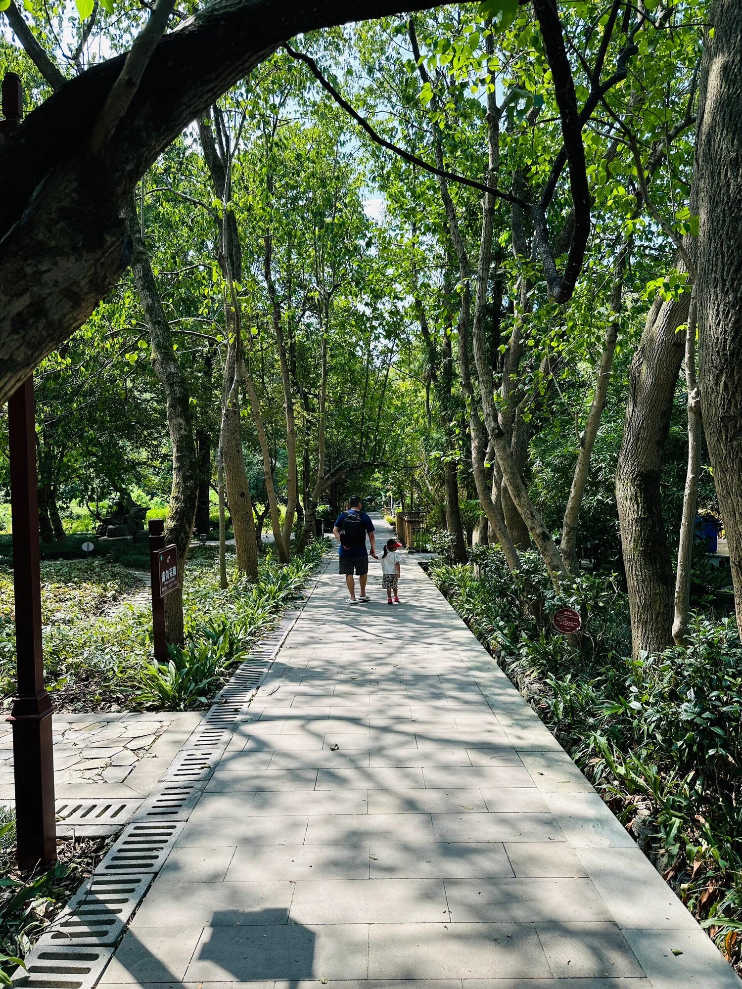 重庆药用植物园旅行图片 2
