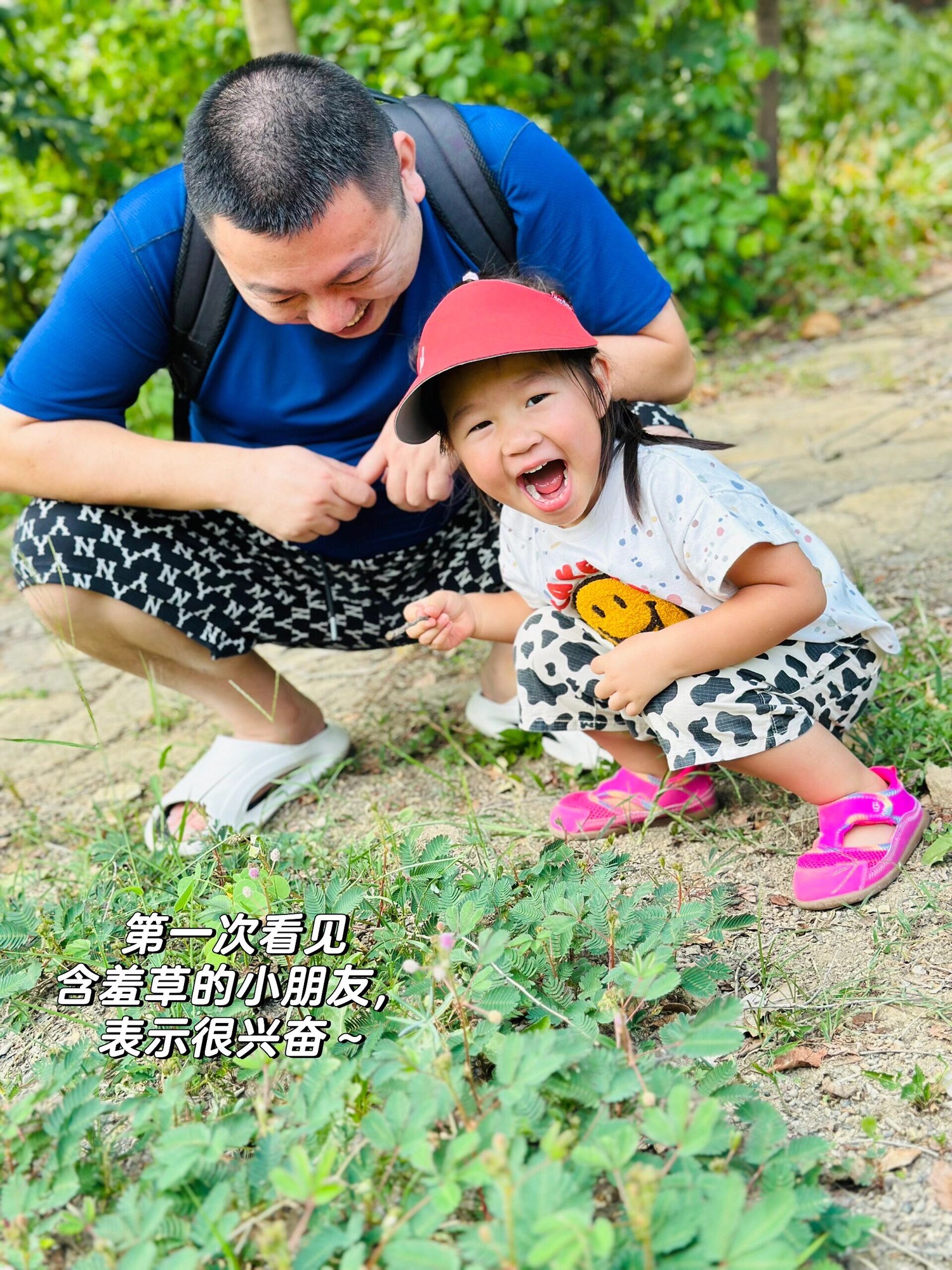 重庆药用植物园旅行图片 3