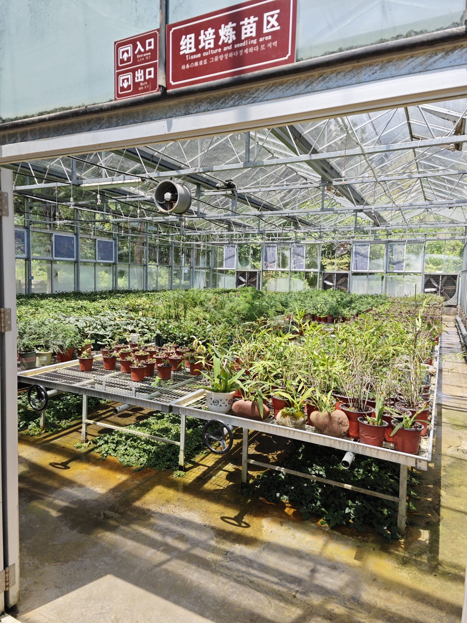 重庆药用植物园旅行图片 2