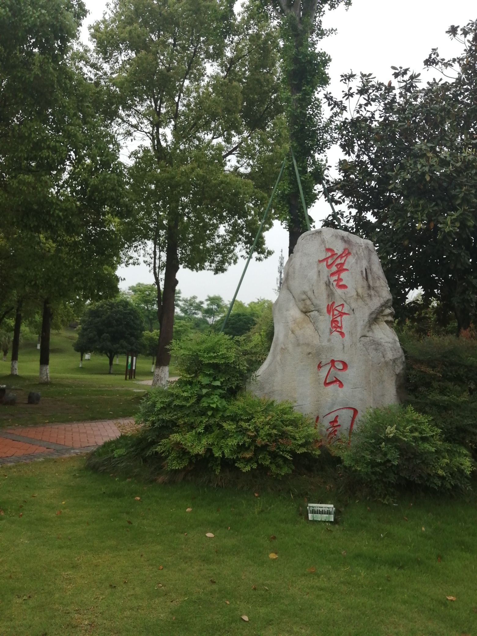 望贤公园旅行图片 1