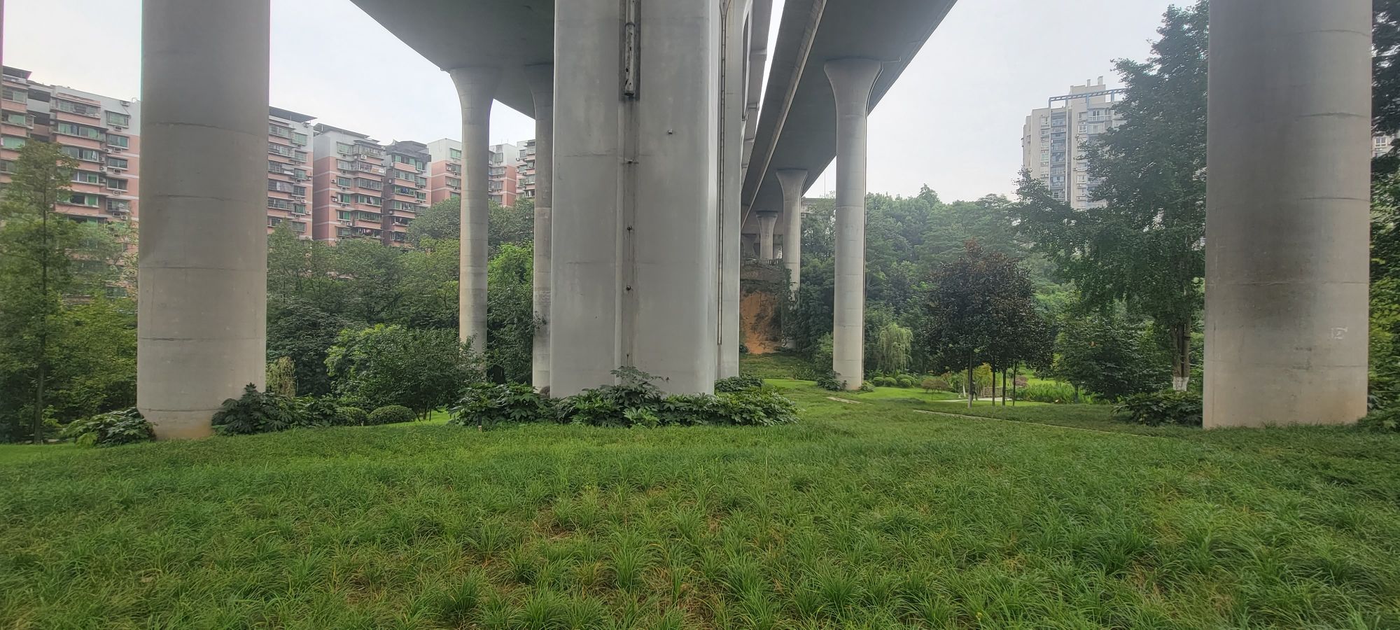 含笑公园旅行图片 2