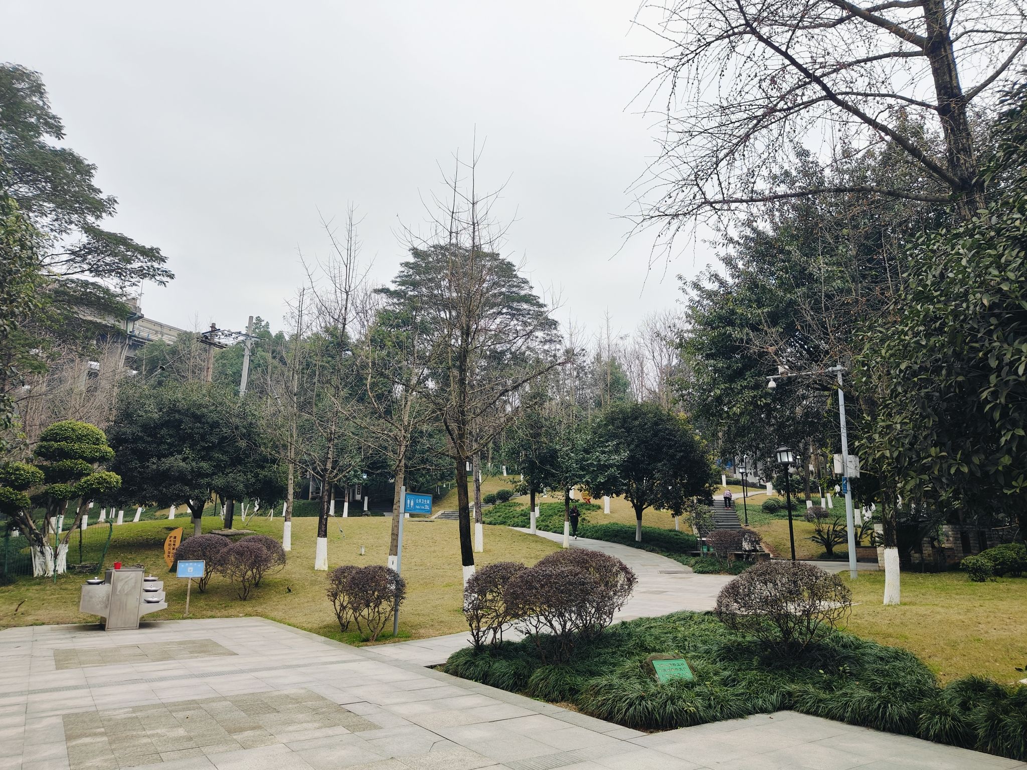 含笑公园旅行图片 2