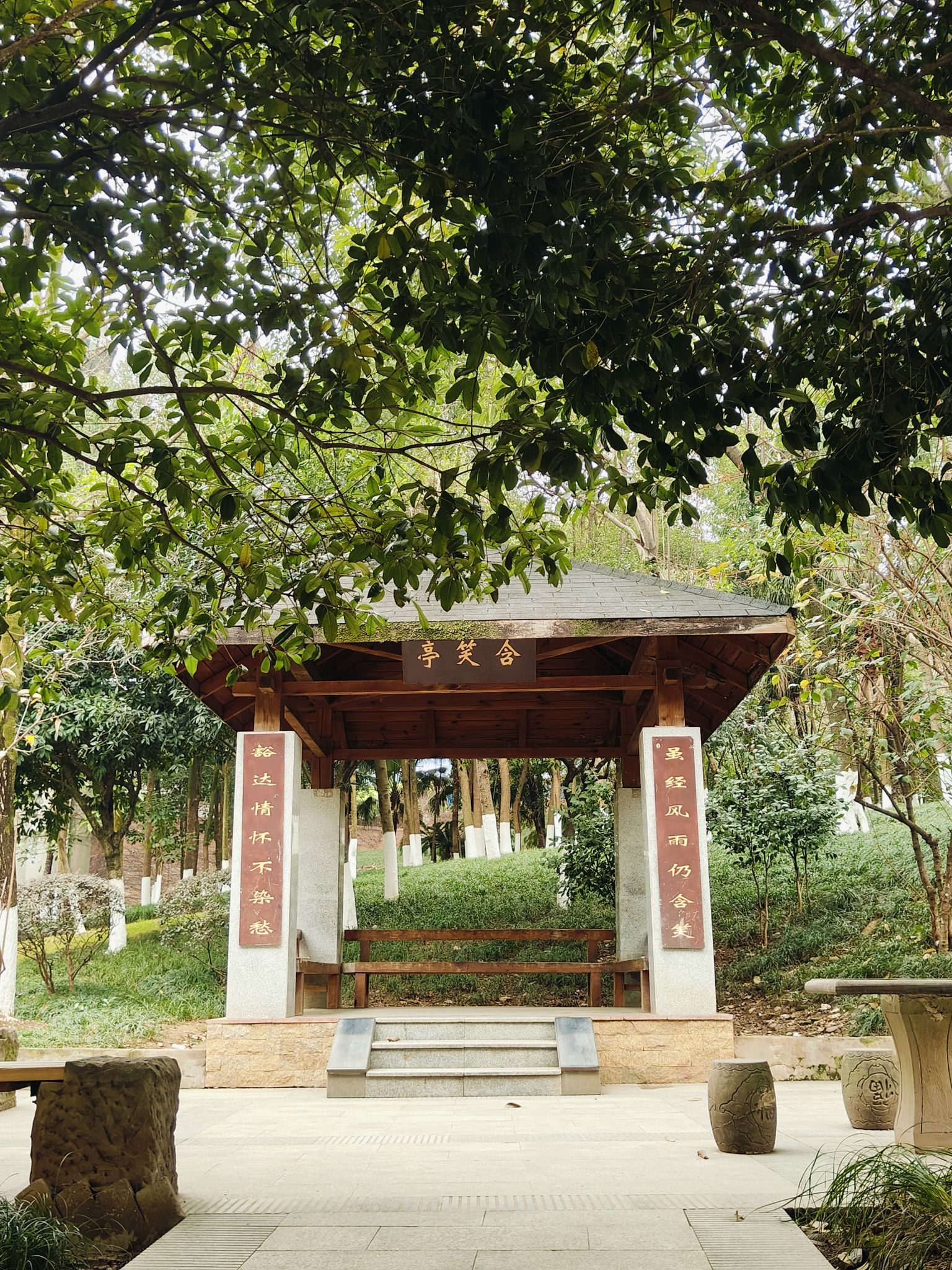 含笑公园旅行图片 3