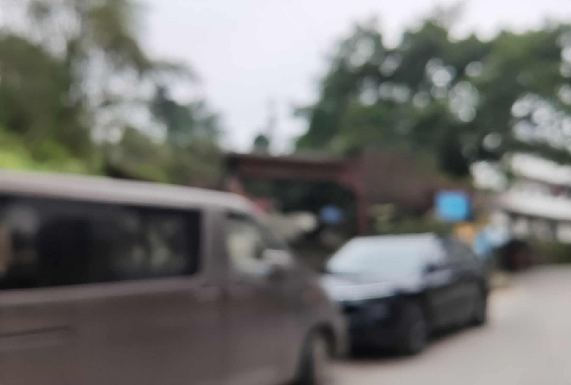 腊梅公园旅行图片 3