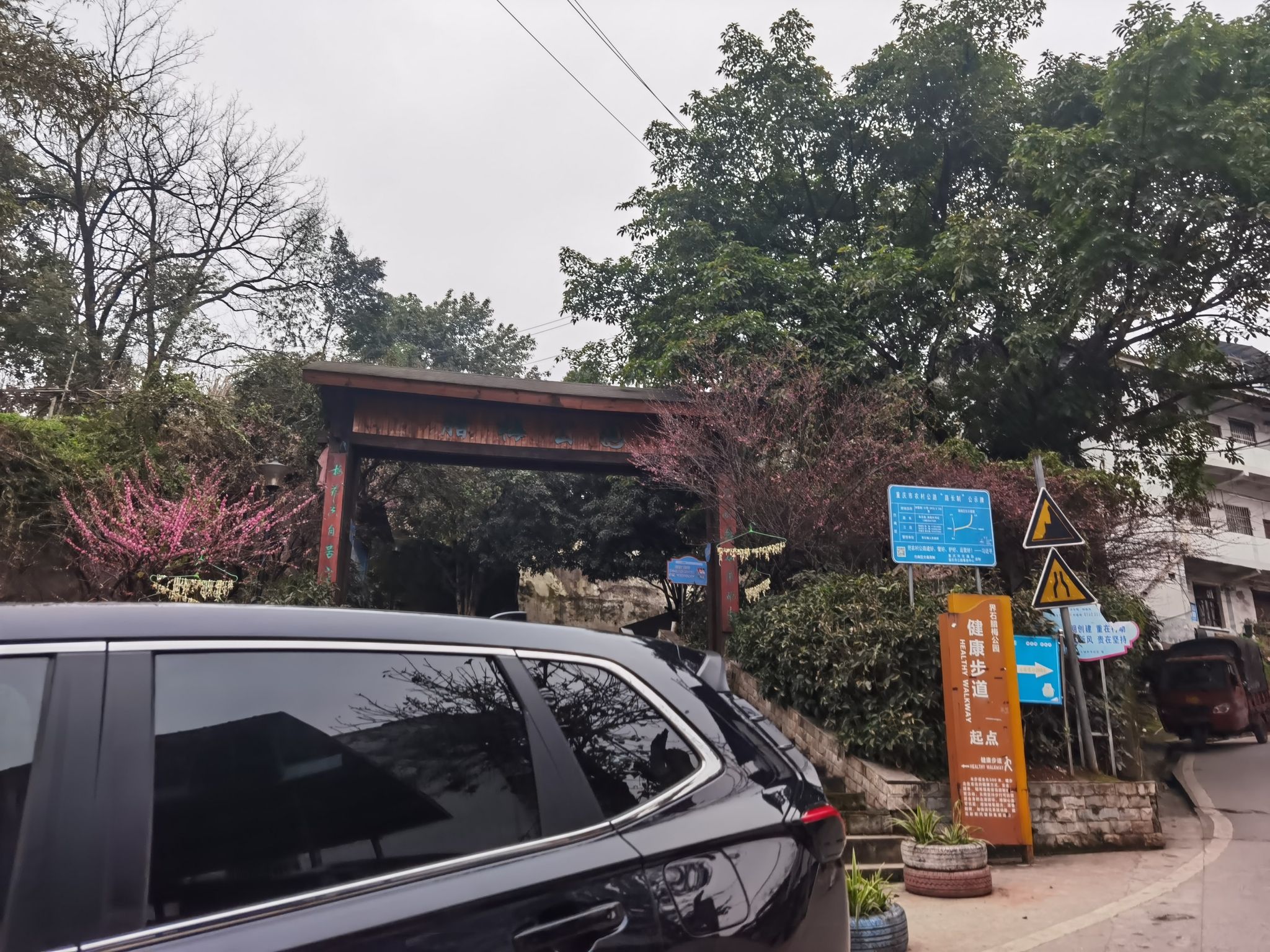 腊梅公园旅行图片 2