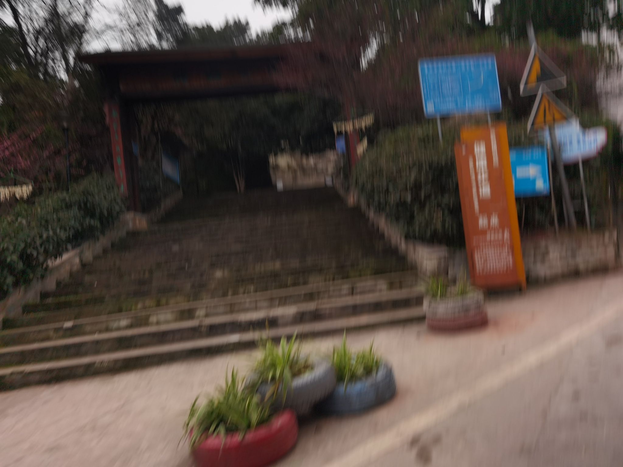 腊梅公园旅行图片 1