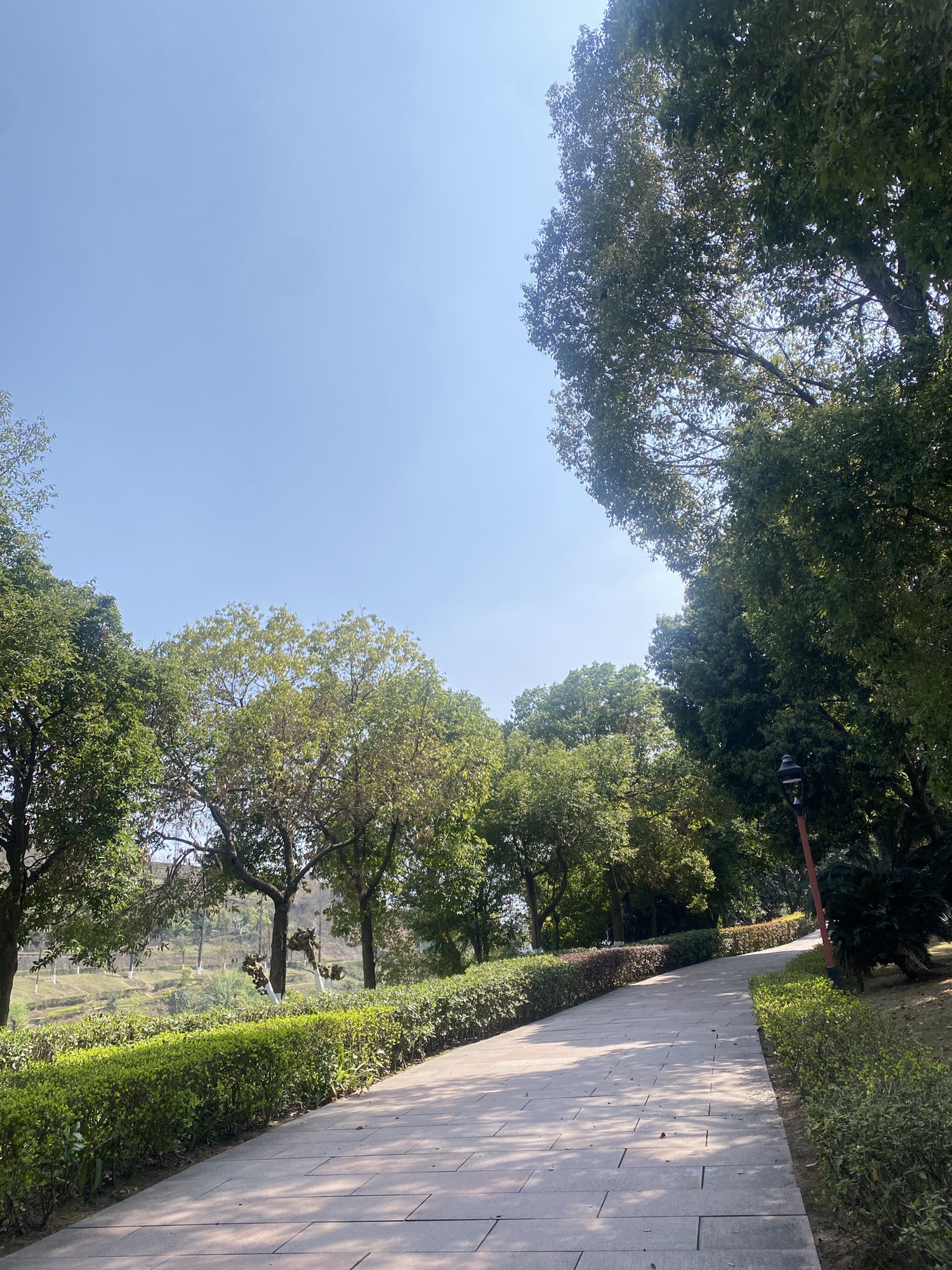 凤凰湖公园旅行图片 2