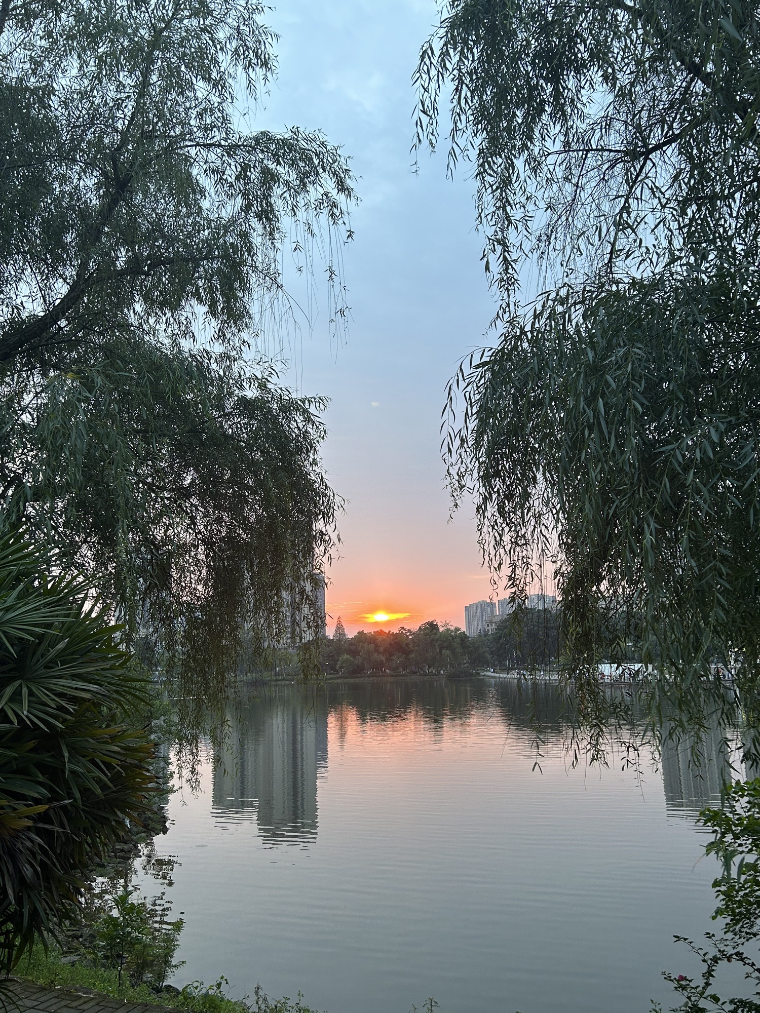 凤凰湖公园旅行图片 1