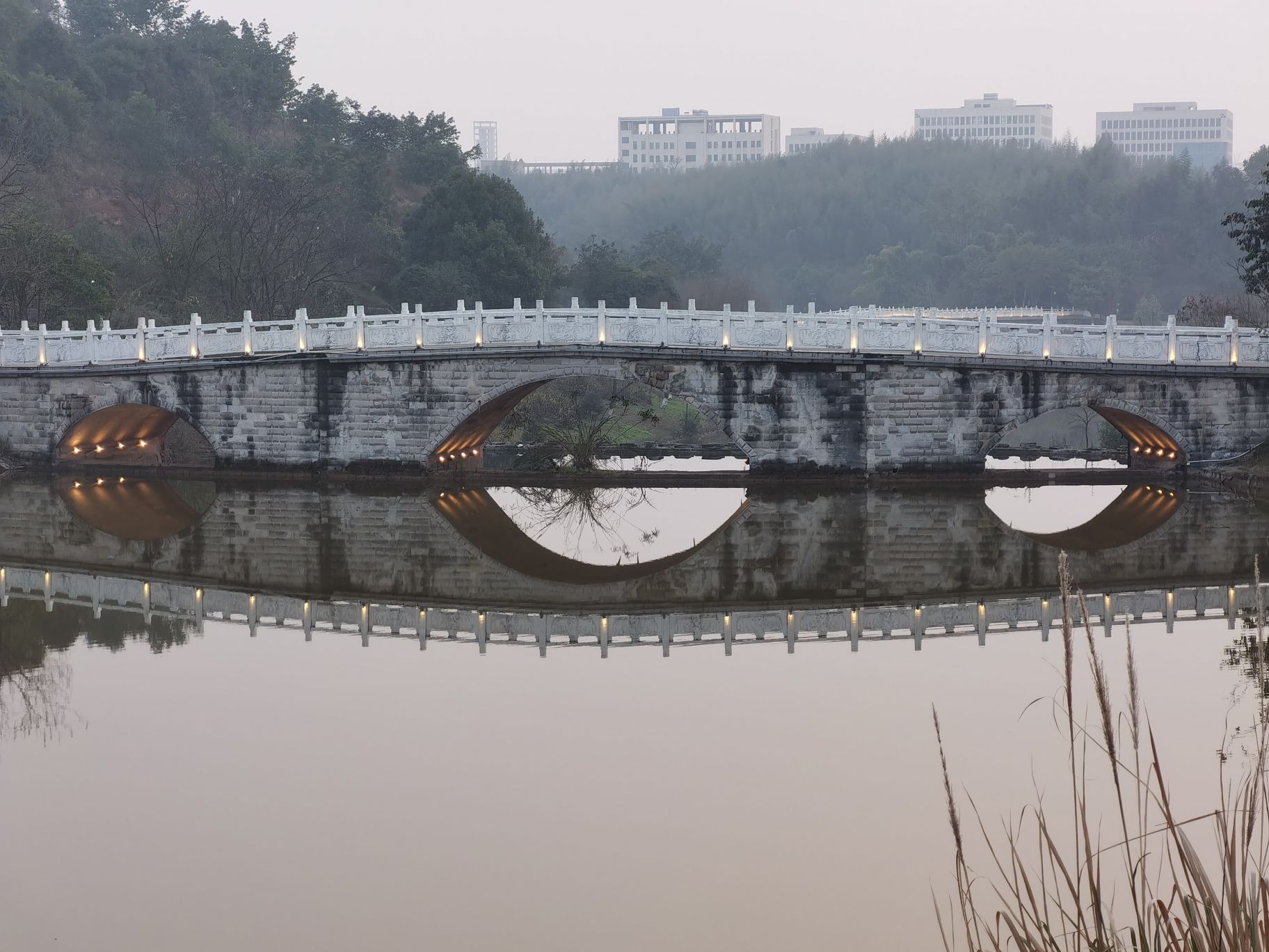 凤凰湖公园旅行图片 1