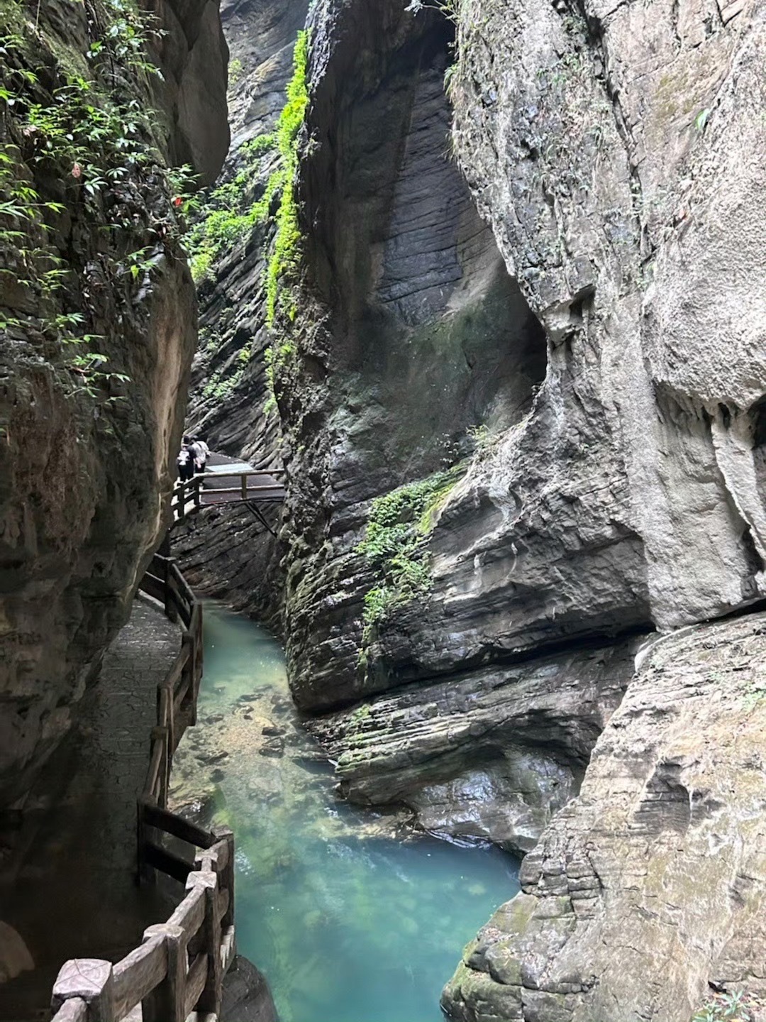 武隆喀斯特旅游区旅行图片 1