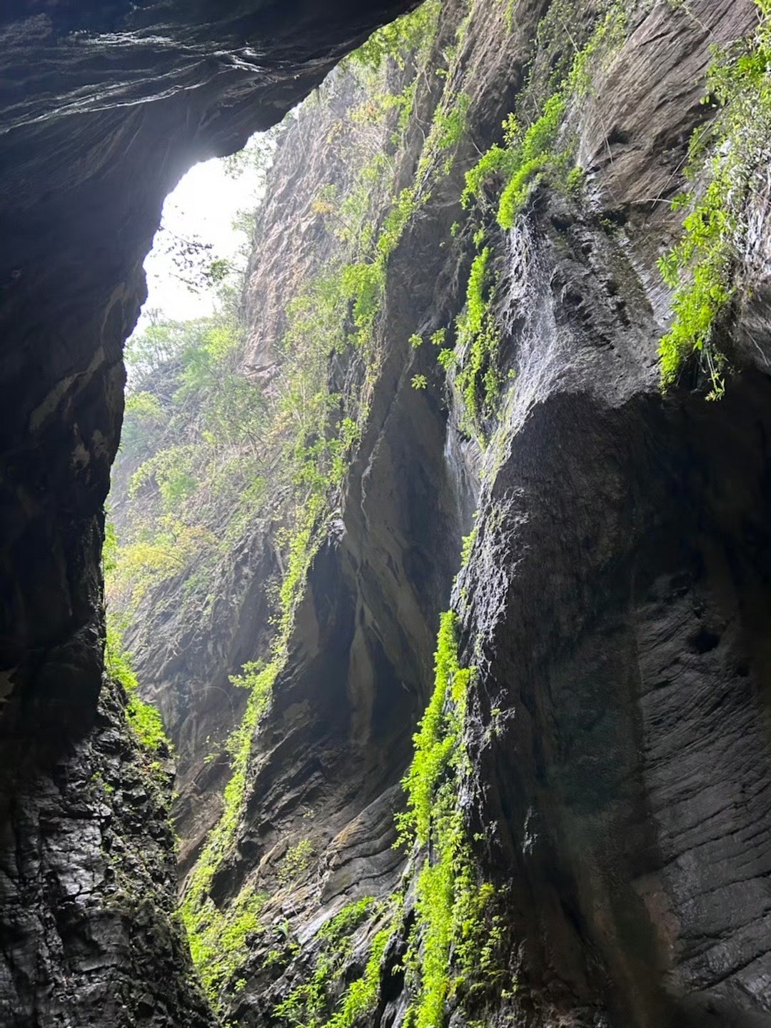武隆喀斯特旅游区旅行图片 3