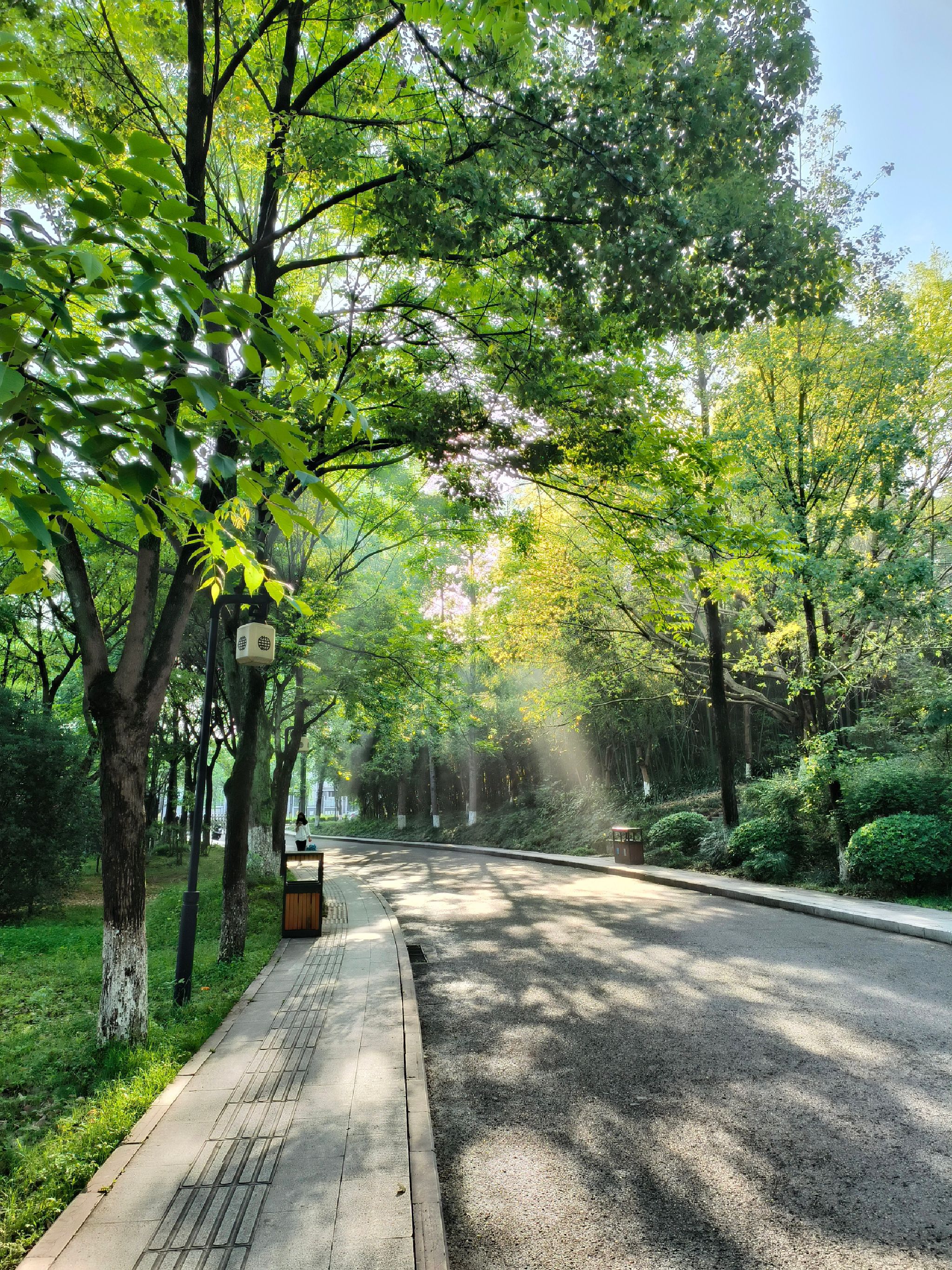兴龙湖公园旅行图片 2