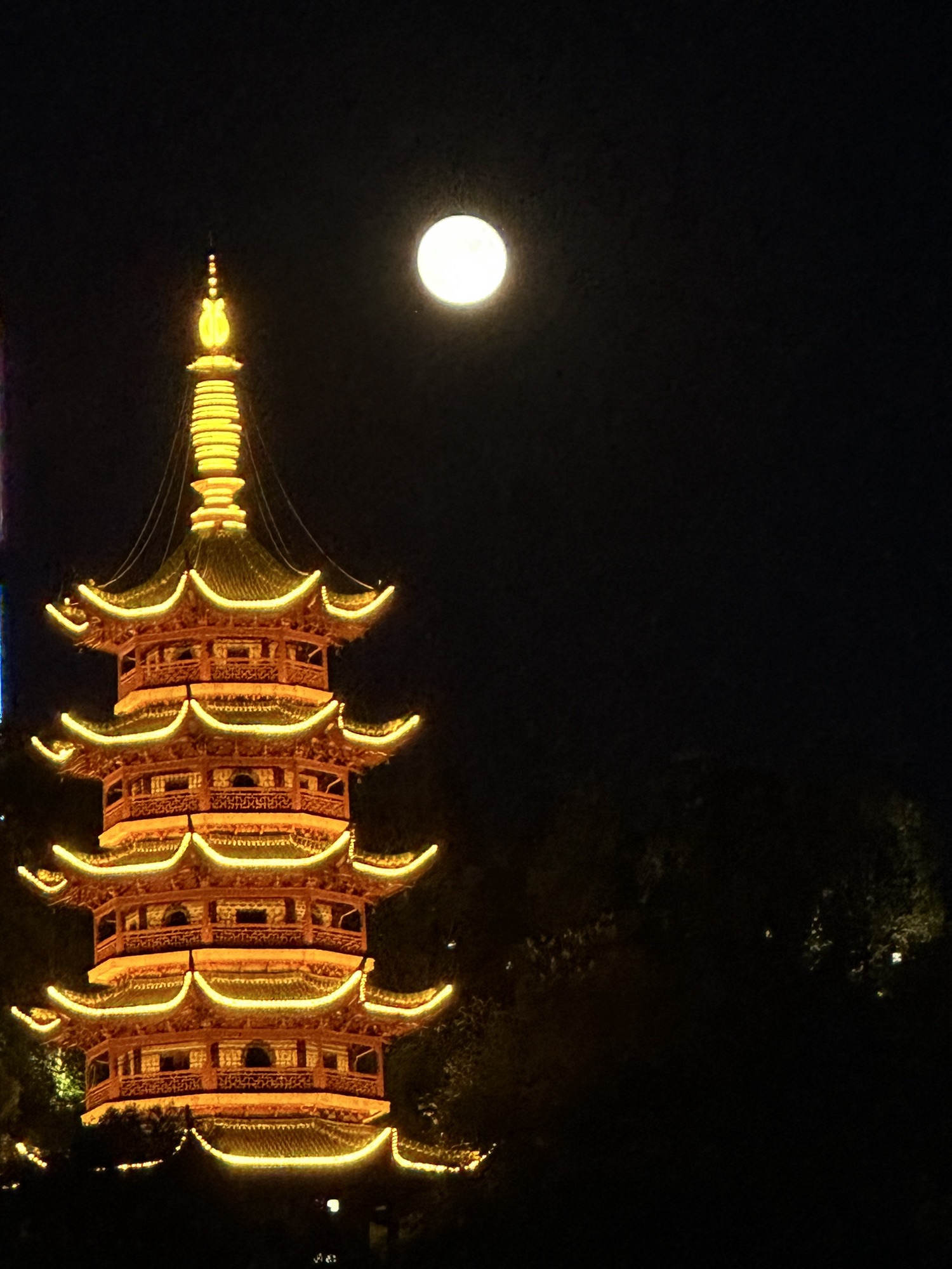 兴龙湖公园旅行图片 1