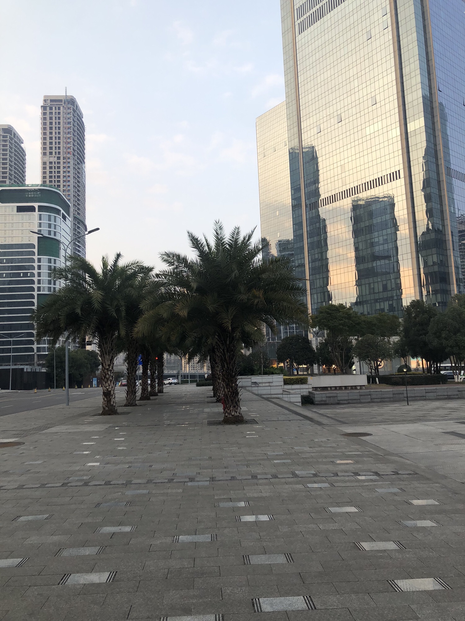 重庆市江北嘴中央商务区中央公园旅行图片 2