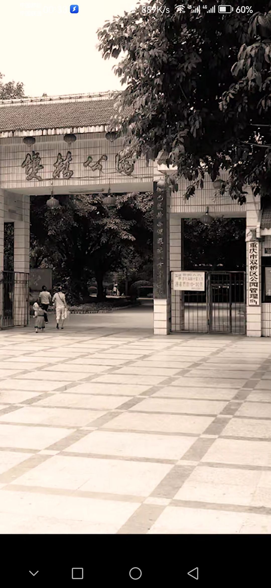 双桥公园旅行图片 2