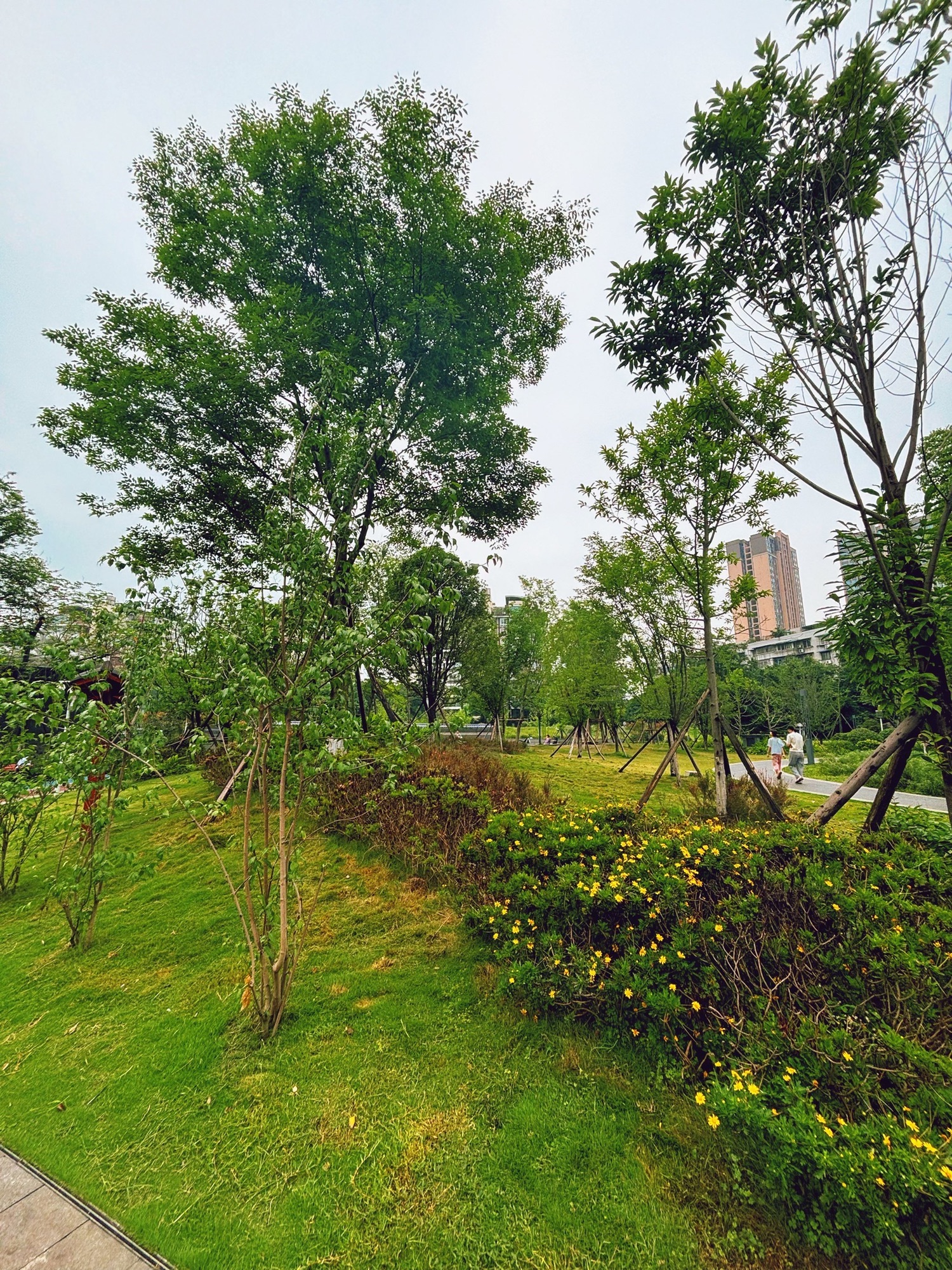 黄沙溪社区游园旅行图片 2