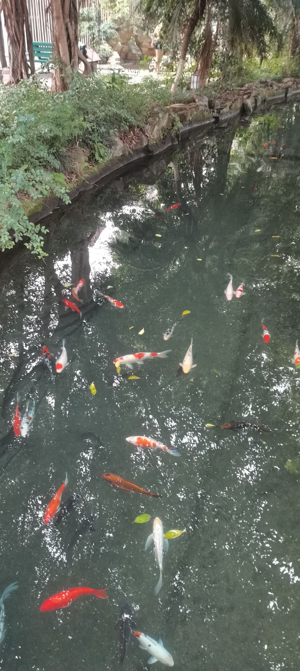 南海温泉公园旅行图片 1