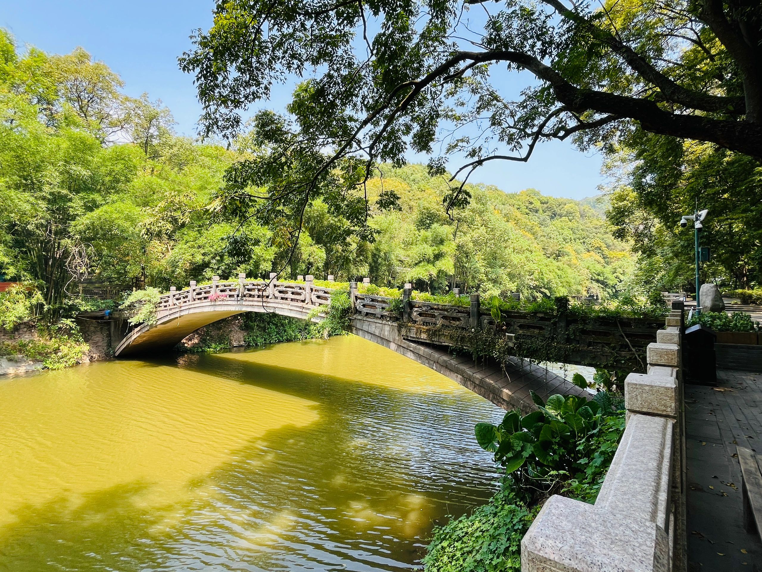 南海温泉公园旅行图片 1